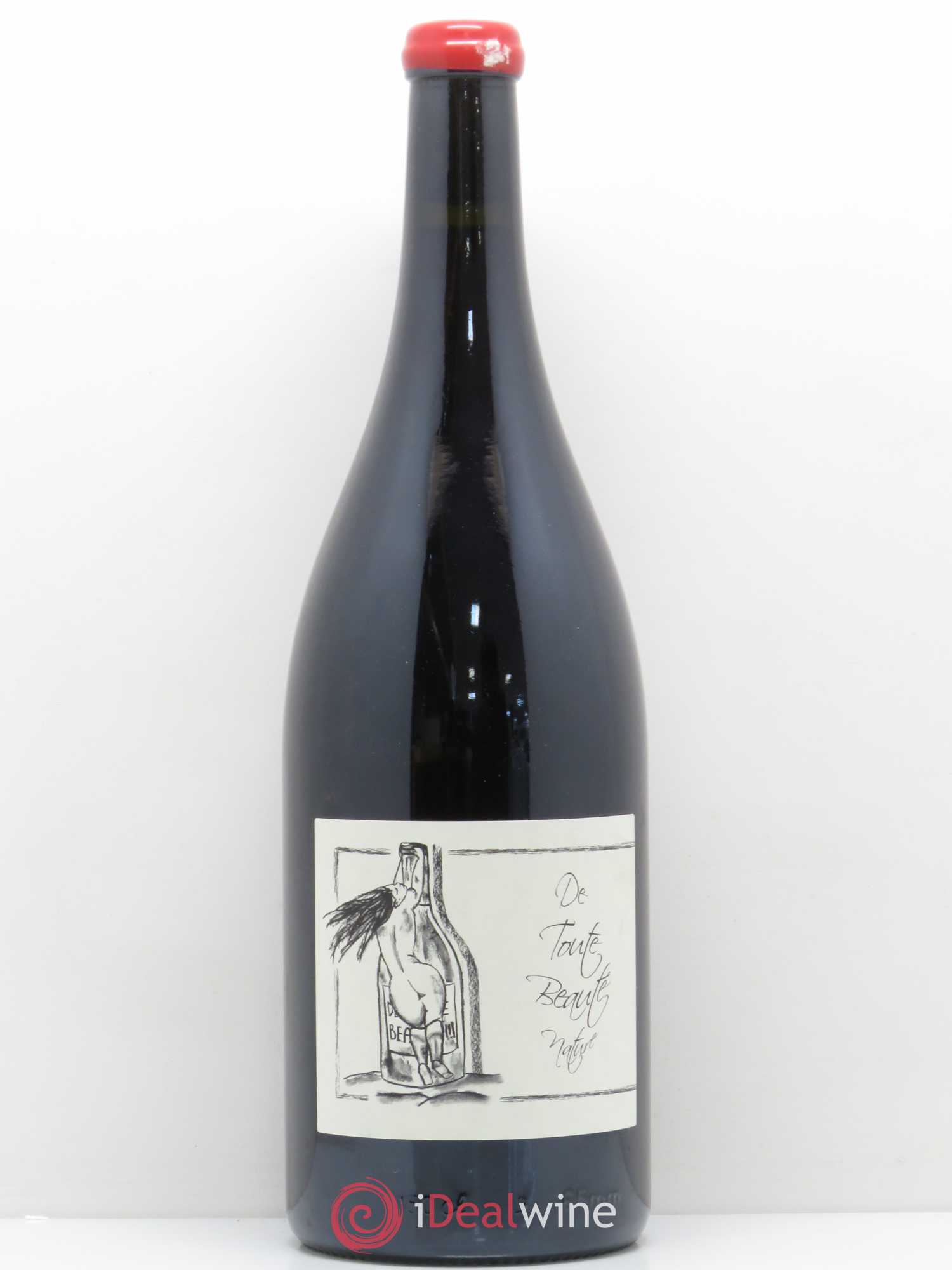 Vin de France De Toute Beauté Ganevat (Domaine) - Lot de 1 magnum - 0