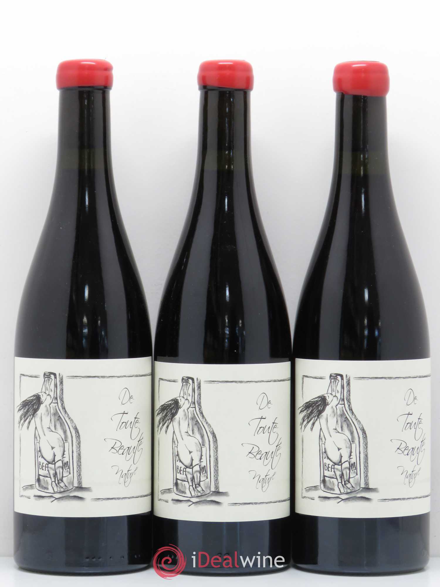 Vin de France De Toute Beauté Ganevat (Domaine) 2015 - Lot de 6 bouteilles - 1
