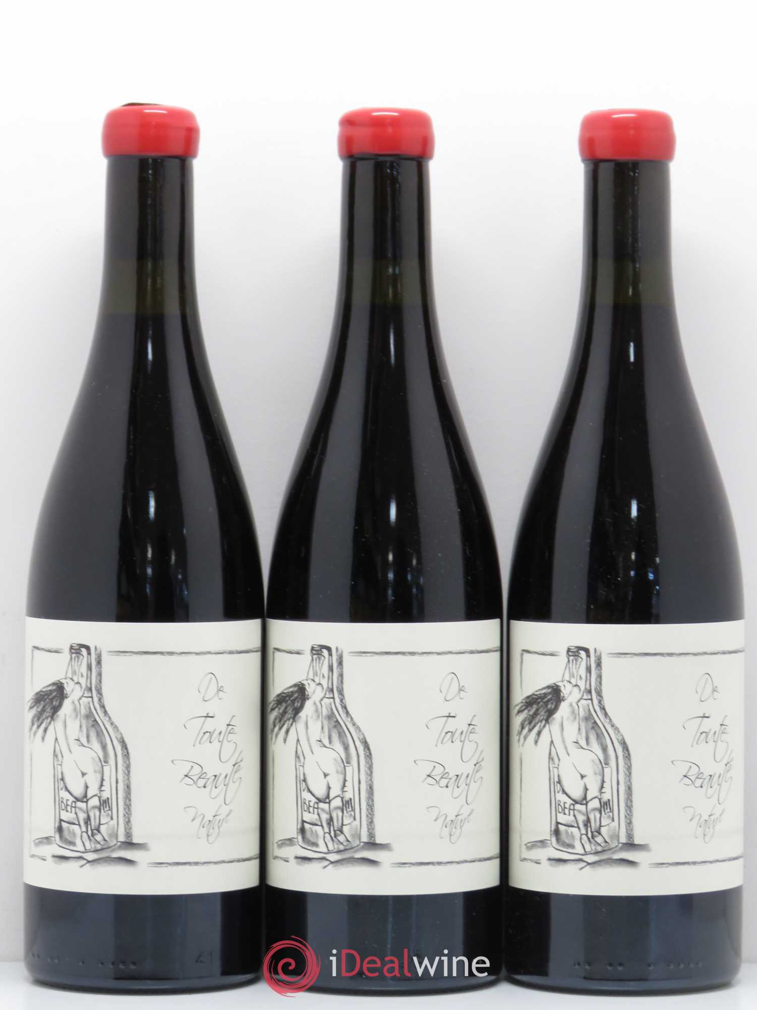 Vin de France De Toute Beauté Ganevat (Domaine) 2015 - Lotto di 6 bottiglie - 1