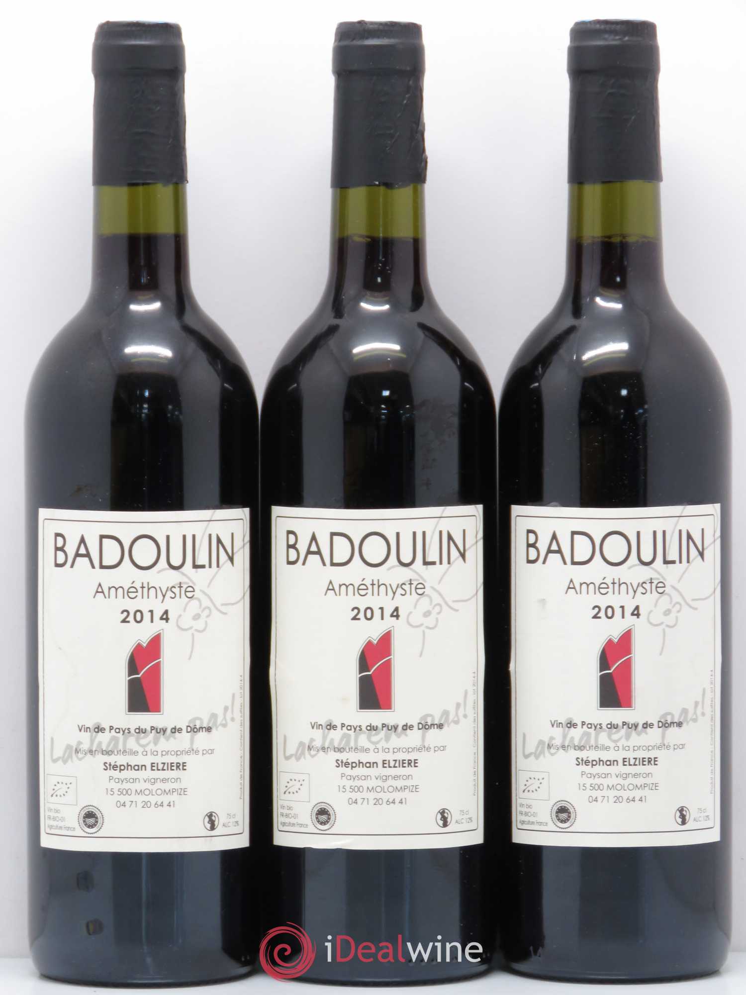Vin de France Badoulin Améthyste Stephan Elziere Vin de pays du Puy de Dôme 2014 - Posten von 6 Flaschen - 1