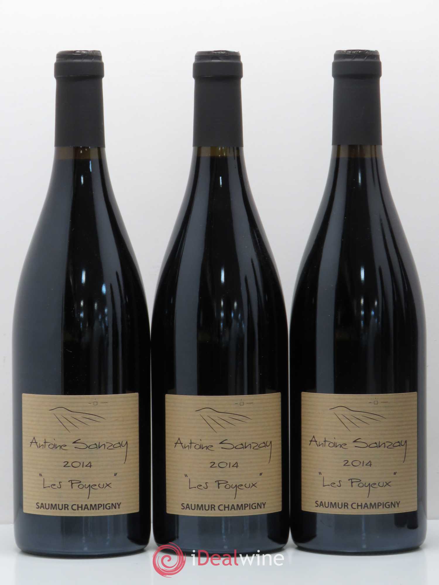 Saumur-Champigny Les Poyeux Antoine Sanzay 2014 - Lot de 6 bouteilles - 2