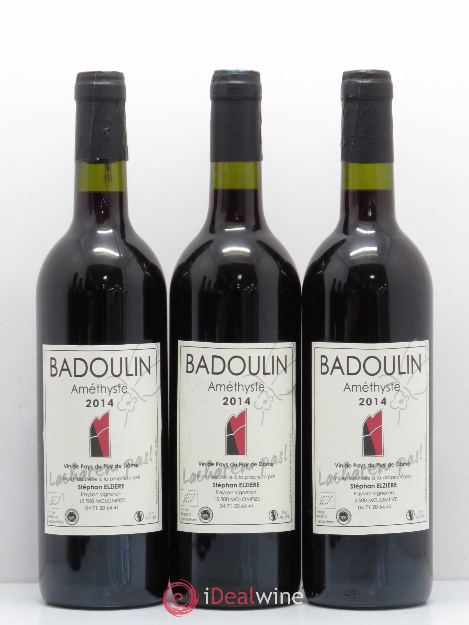 Divers Vin de Pays du Puy de Dôme Badoulin Amethyste Stephan Elziere 2014 - Posten von 6 Flaschen - 1
