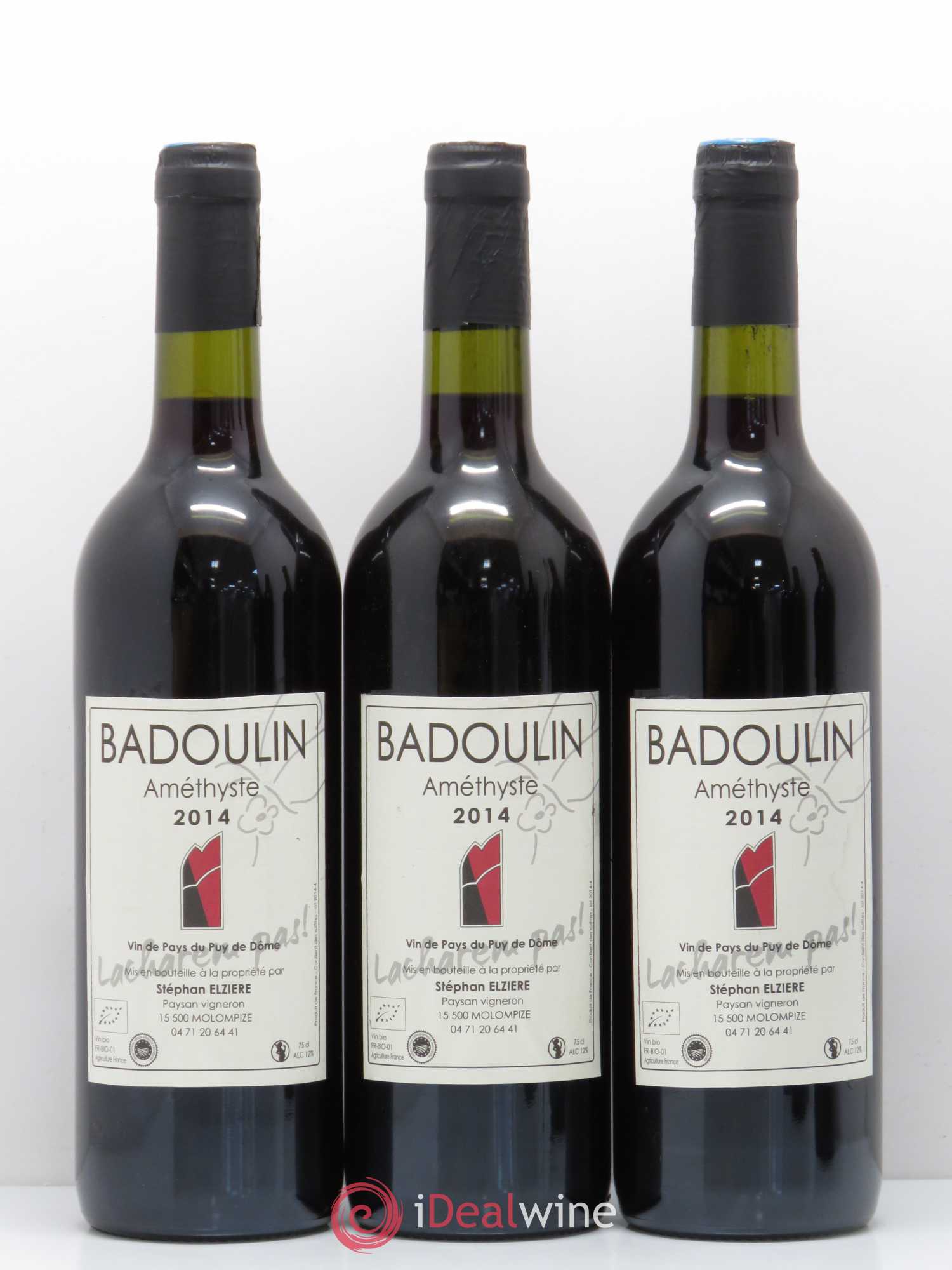 Divers Vin de Pays du Puy de Dôme Badoulin Amethyste Stephan Elziere 2014 - Posten von 6 Flaschen - 2