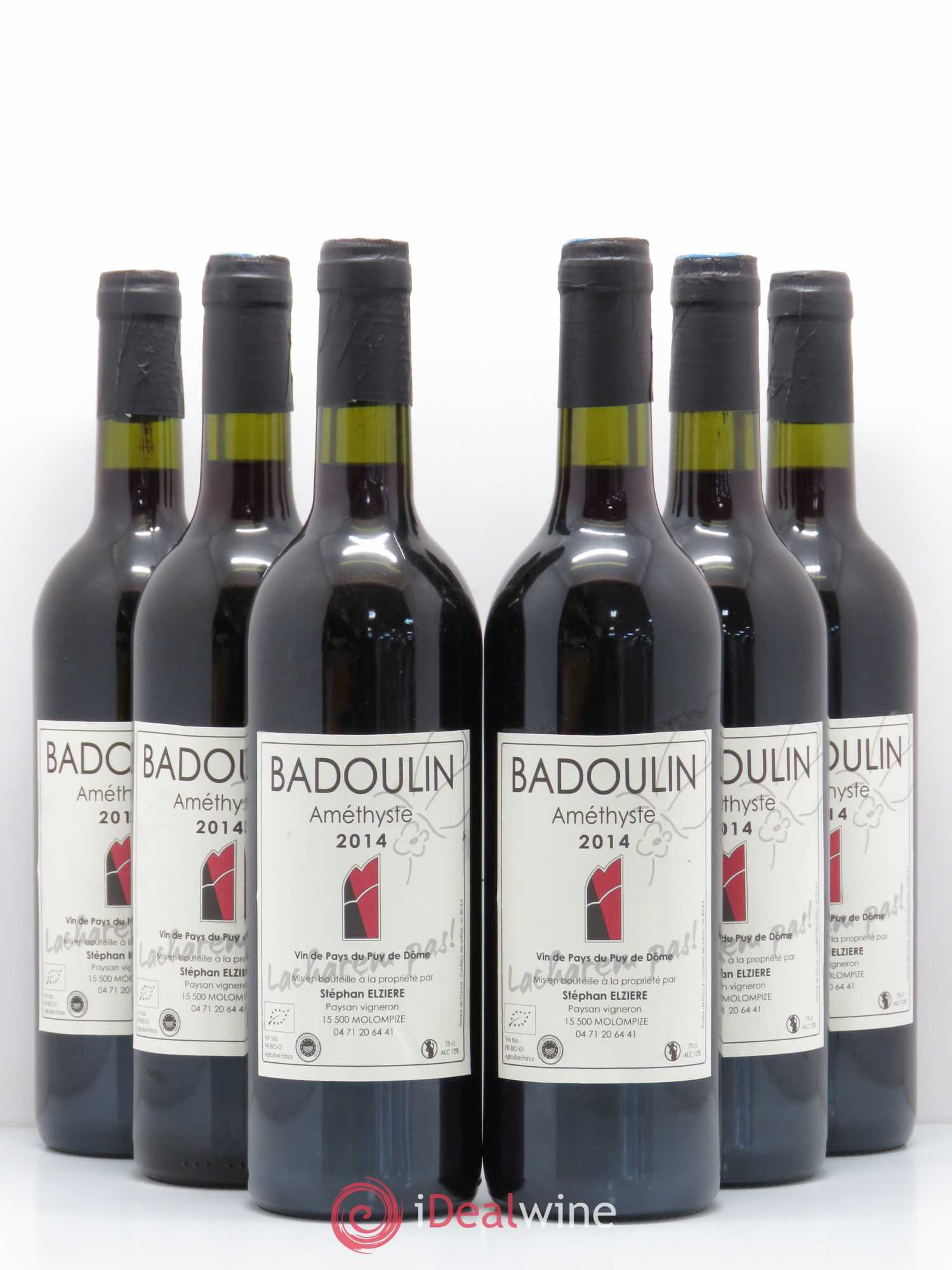 Divers Vin de Pays du Puy de Dôme Badoulin Amethyste Stephan Elziere 2014 - Posten von 6 Flaschen - 0