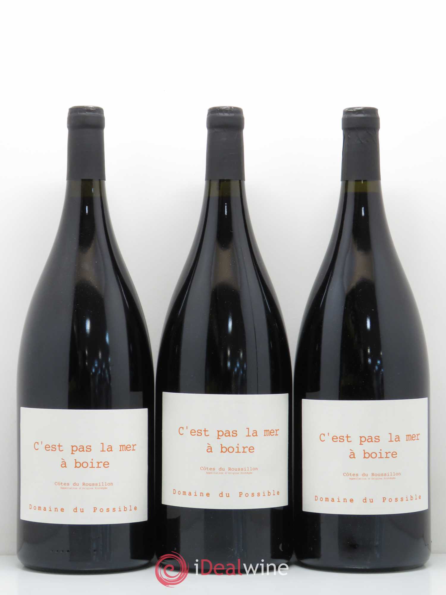 Côtes du Roussillon C'est pas la mer à boire Domaine du Possible 2015 - Posten von 3 Magnum - 0