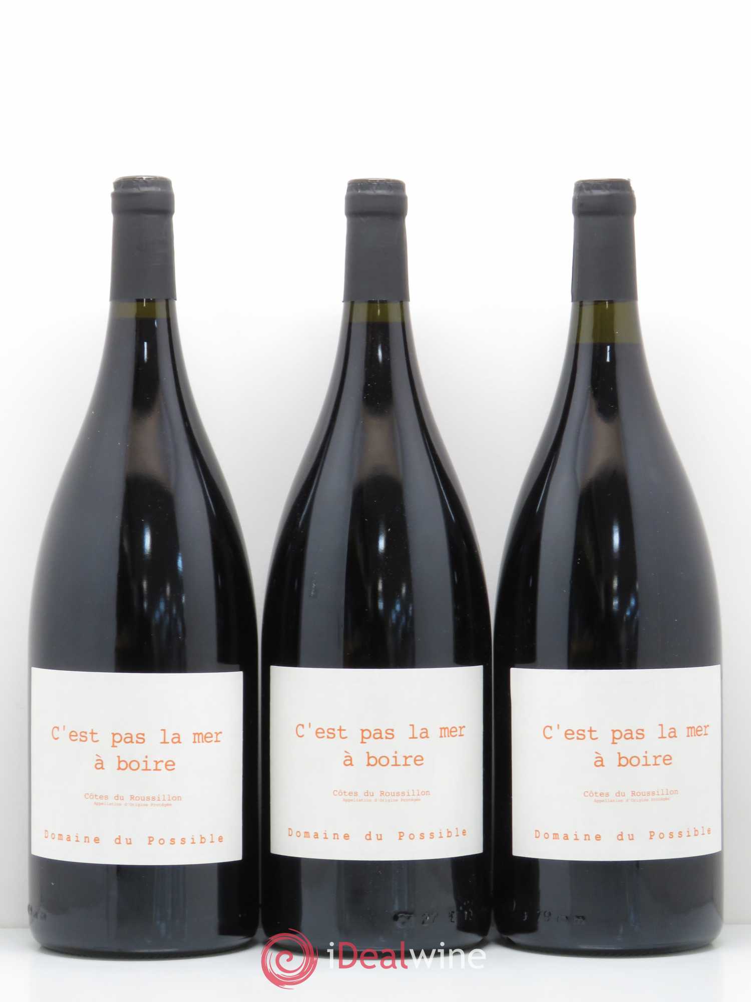 Côtes du Roussillon C'est pas la mer à boire Domaine du Possible 2015 - Posten von 3 Magnum - 0