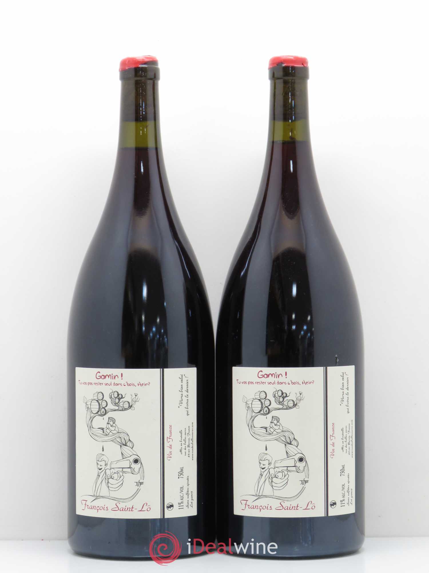 Vin de France 2015 - Posten von 2 Magnum - 0