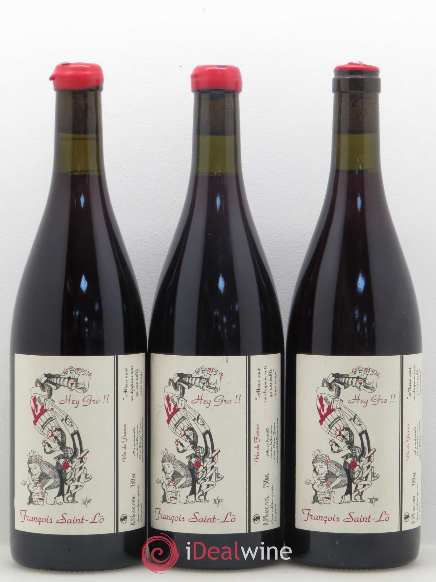 Vin de France Hey gros François Saint Lo - Posten von 6 Flaschen - 1