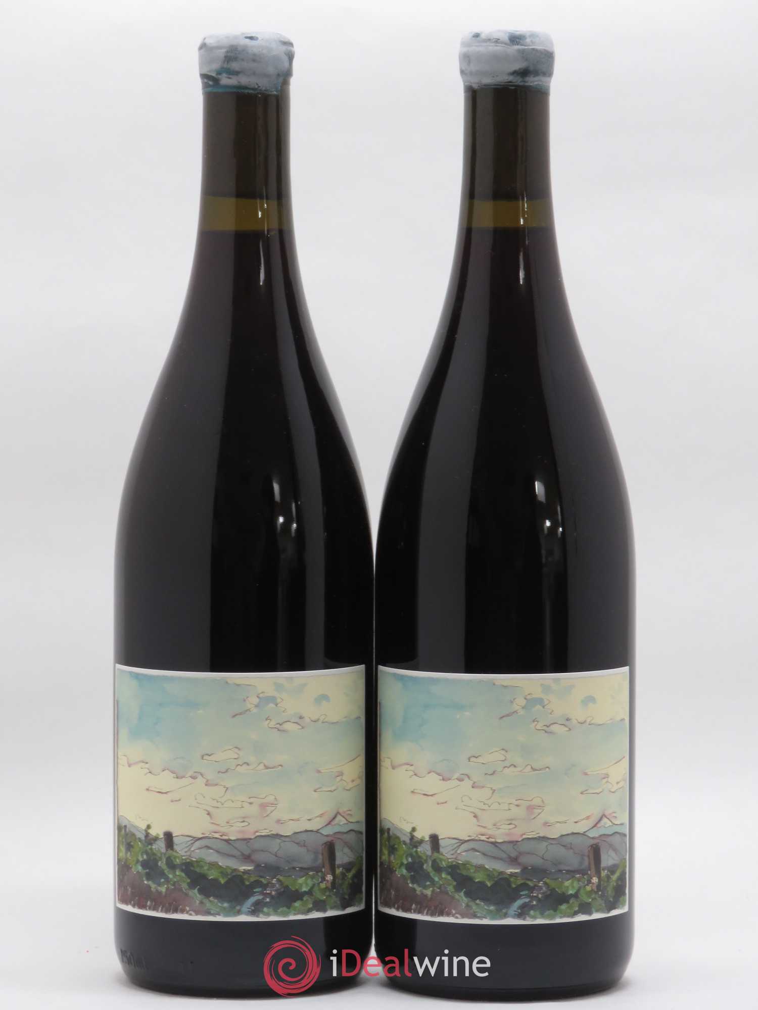 Columbia Gorge Smockshop Band Oak Ridge Hiyu Farm Pinot Noir 2016 - Lot de 2 bouteilles - 0