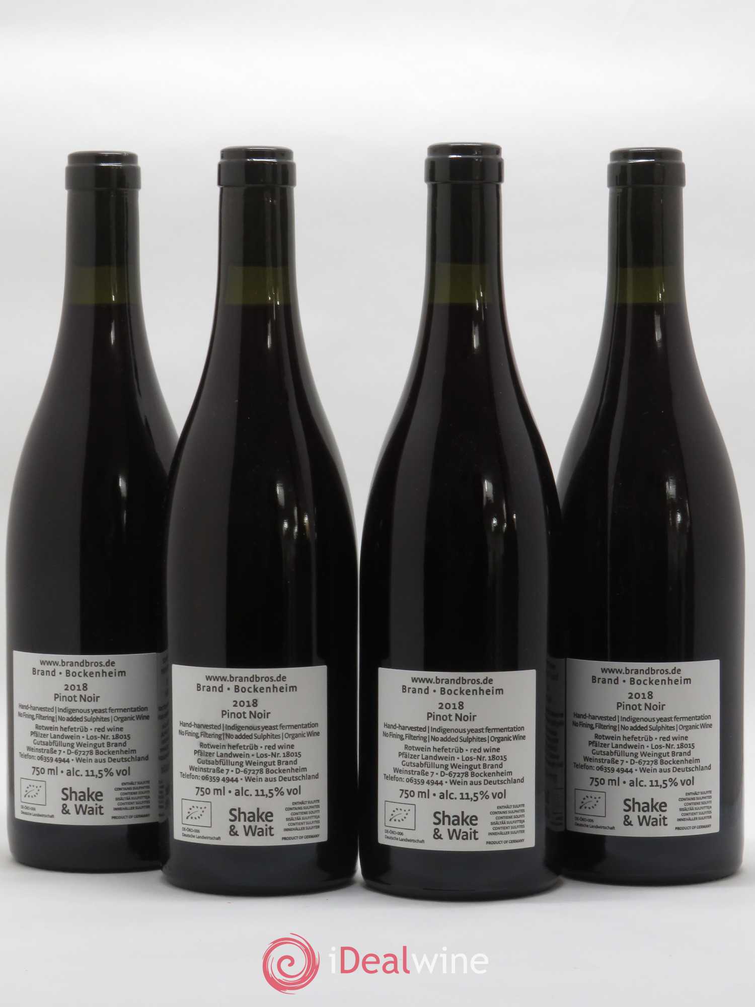 Allemagne Pinot Noir Pur Brand Bockenheim 2018 - Posten von 4 Flaschen - 1
