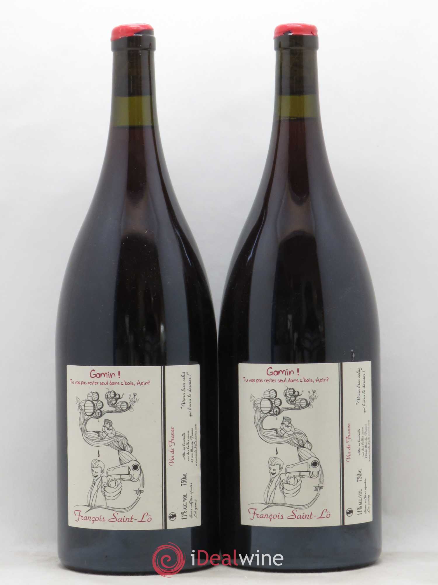 Vin de France 2015 - Posten von 2 Magnum - 0