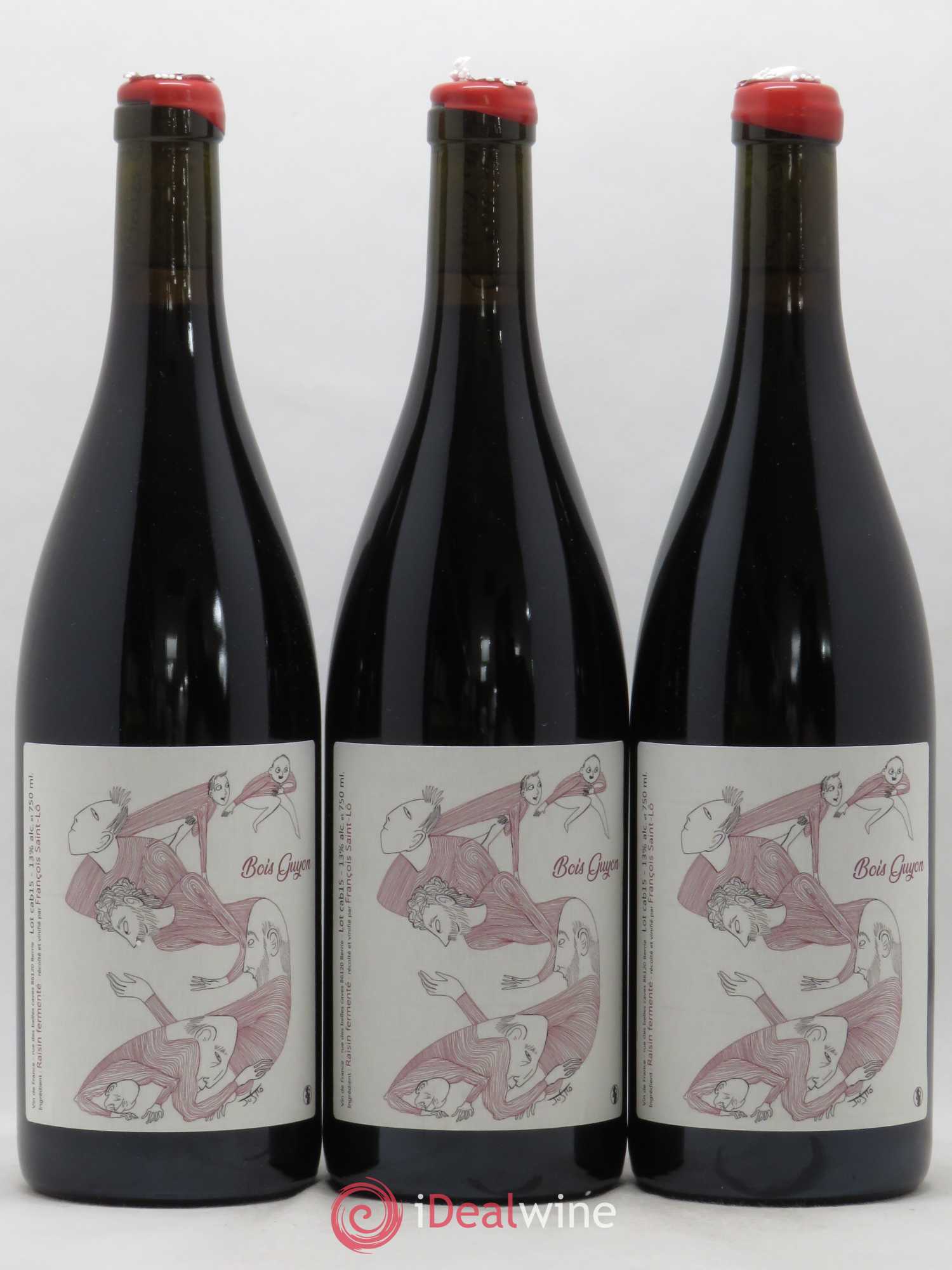 Vin de France Le Bois Guyon Francois Saint Lo 2015 - Posten von 6 Flaschen - 1