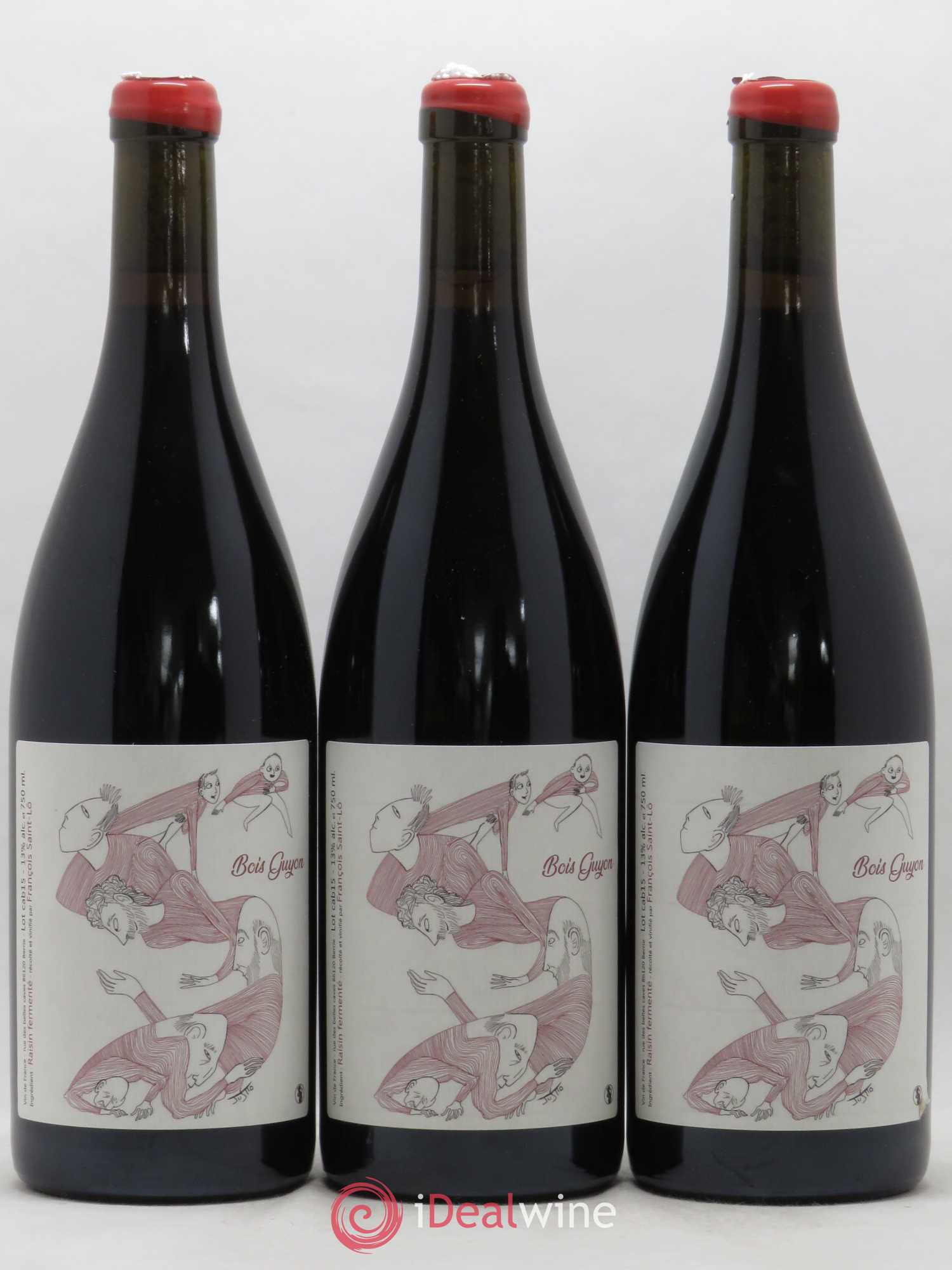 Vin de France Le Bois Guyon Francois Saint Lo 2015 - Posten von 6 Flaschen - 2