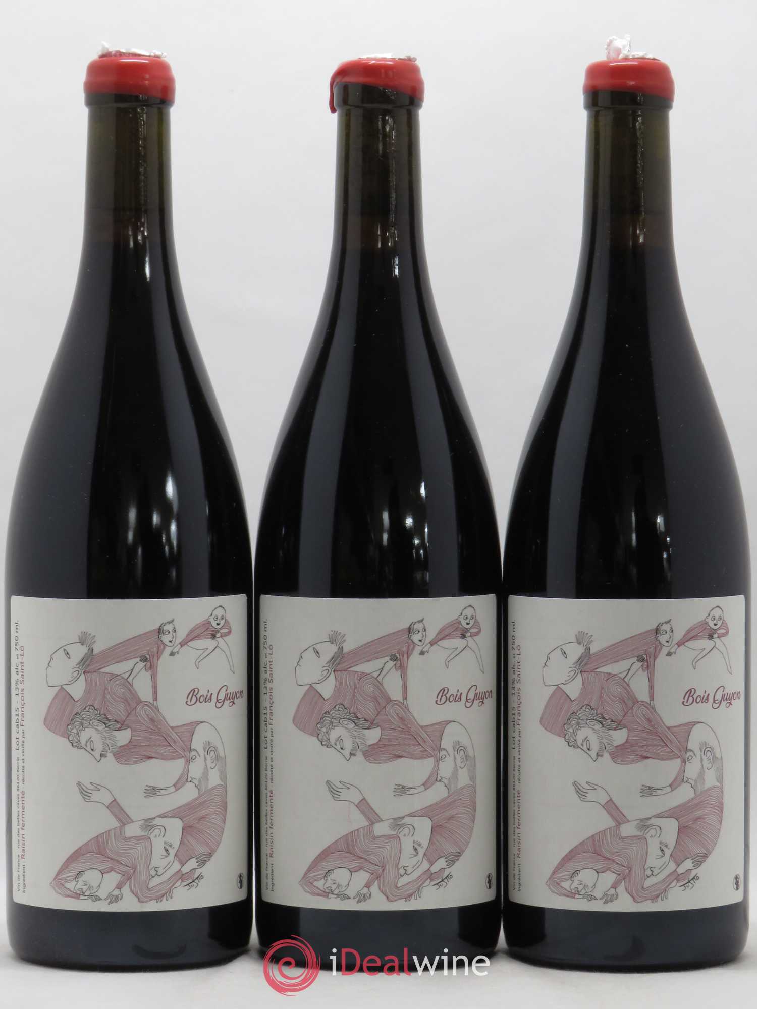 Vin de France Le Bois Guyon Francois Saint Lo 2015 - Posten von 3 Flaschen - 0