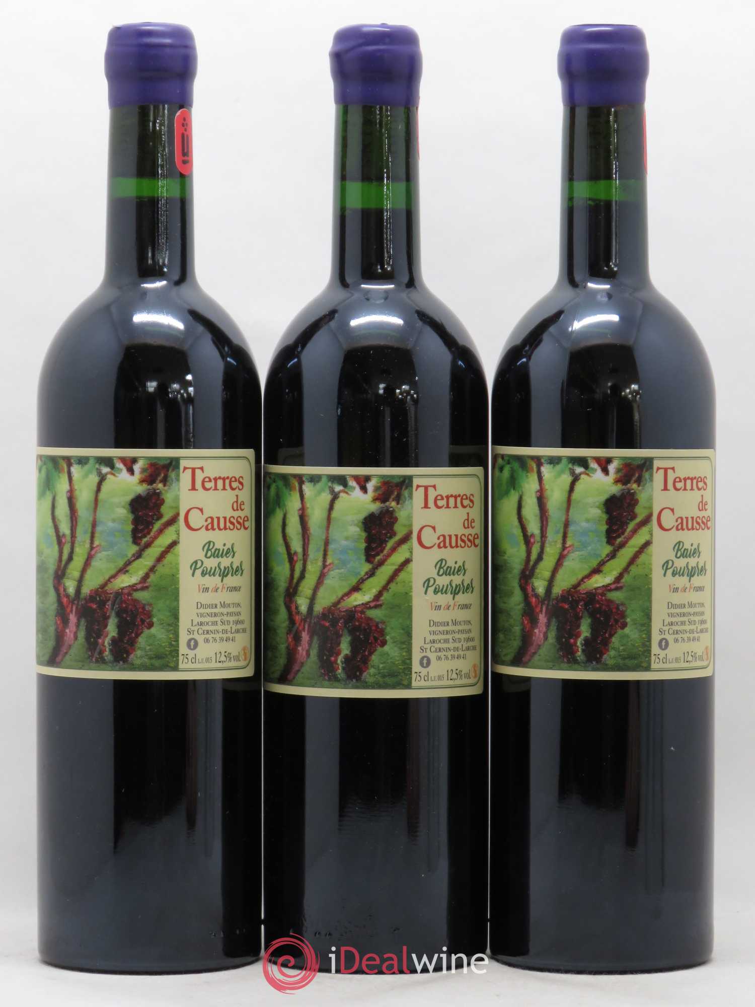 Vin de France Baies Pourpres Terres de Causse 2015 - Posten von 3 Flaschen - 0