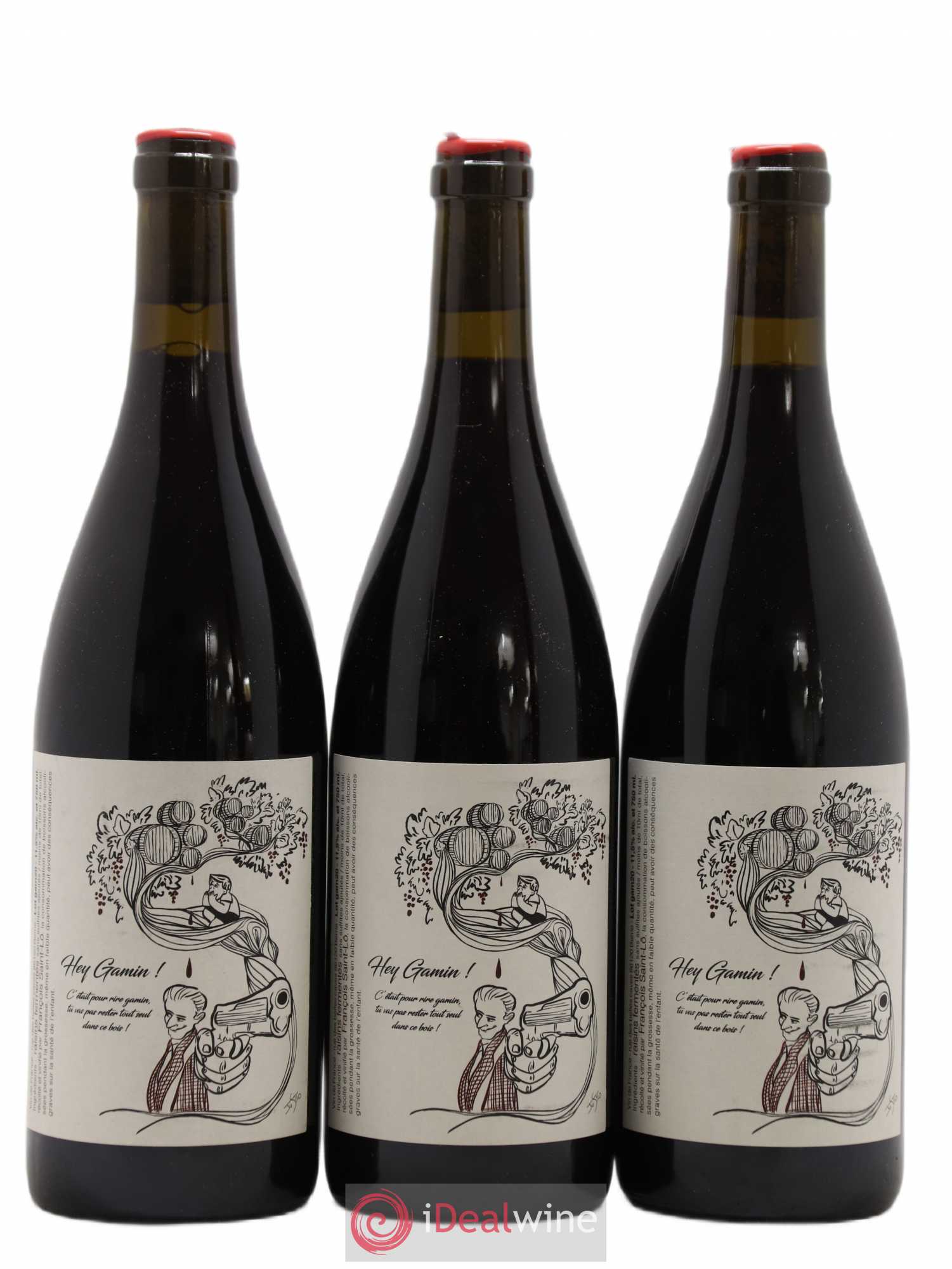 Vin de France Hey Gamin Francois Saint-Lo 2020 - Lot de 3 bouteilles - 0