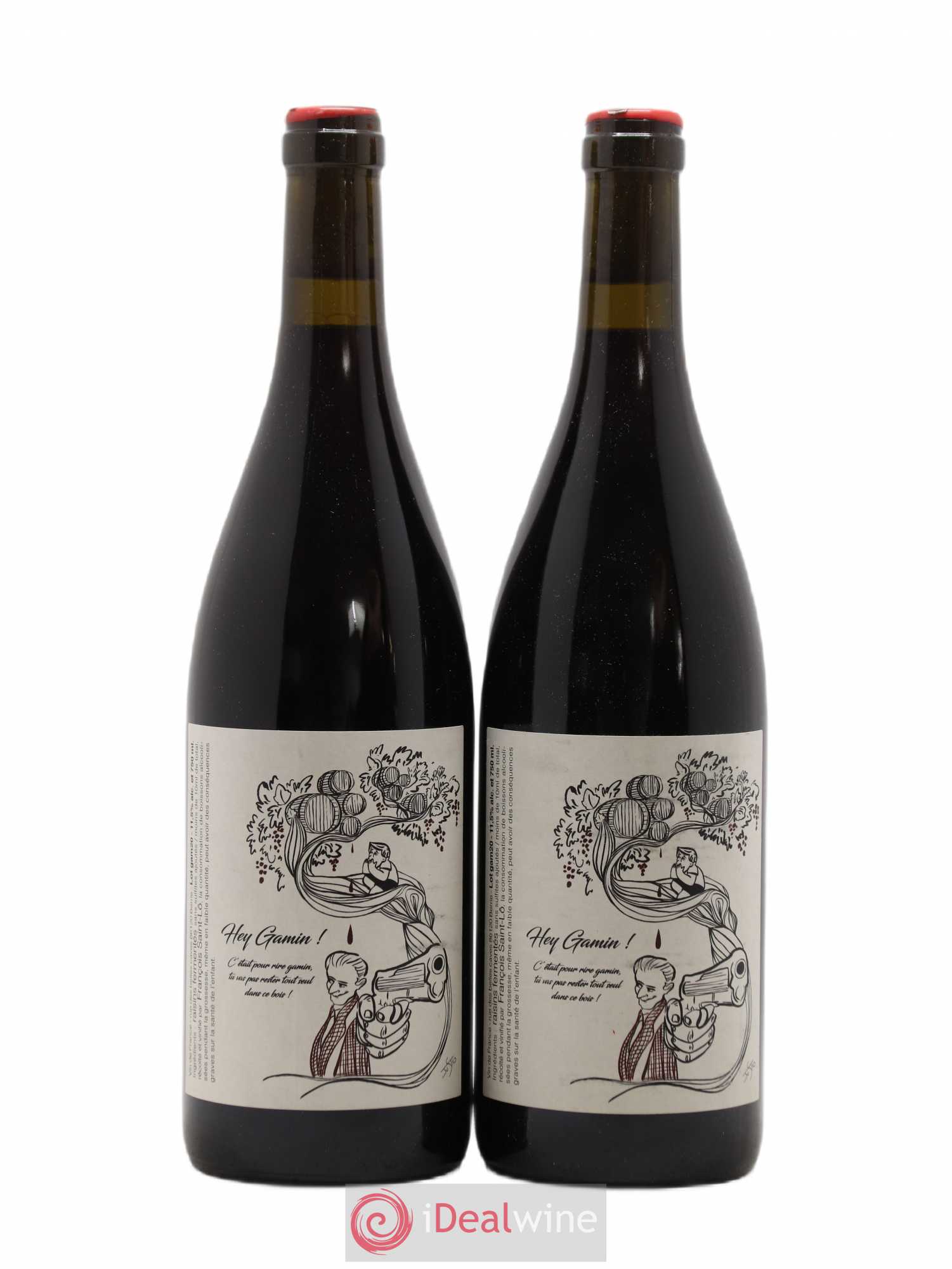 Vin de France Hey Gamin Francois Saint-Lo 2020 - Lot de 2 bouteilles - 0