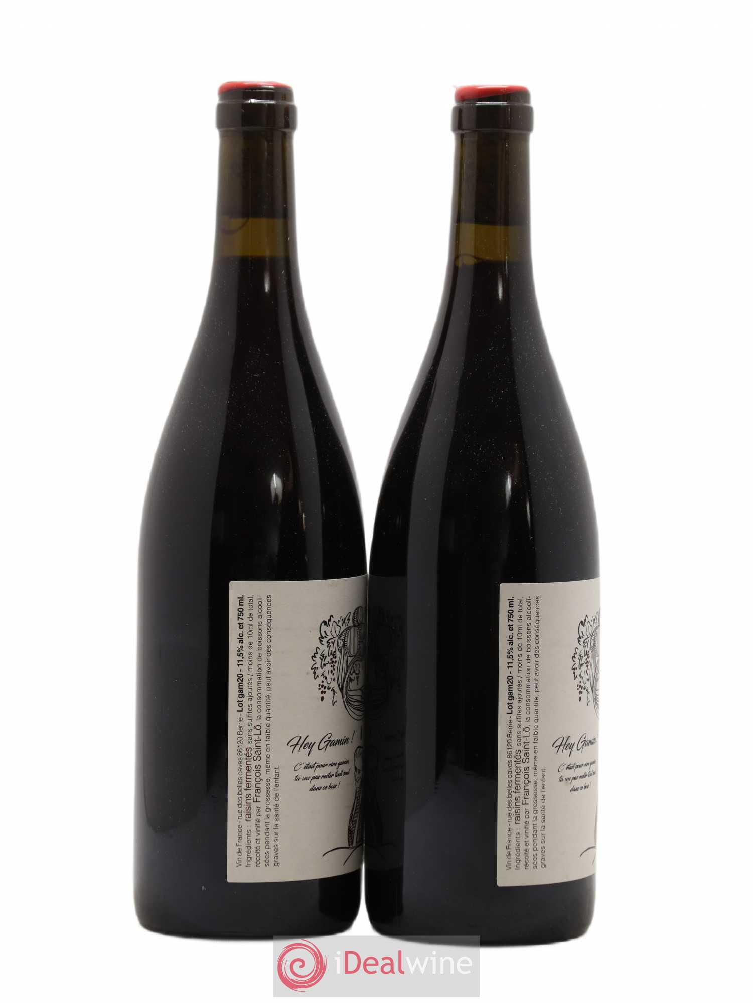 Vin de France Hey Gamin Francois Saint-Lo 2020 - Lot of 2 bottles - 1