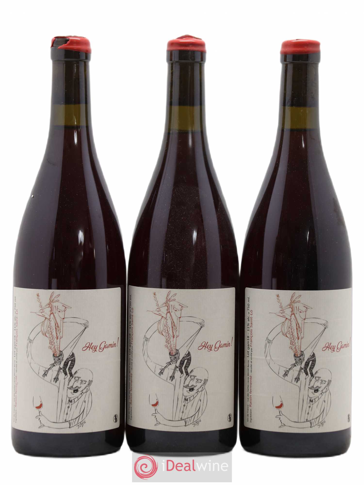 Vin de France Hey Gamin Francois Saint-Lo 2018 - Lot de 3 bouteilles - 0