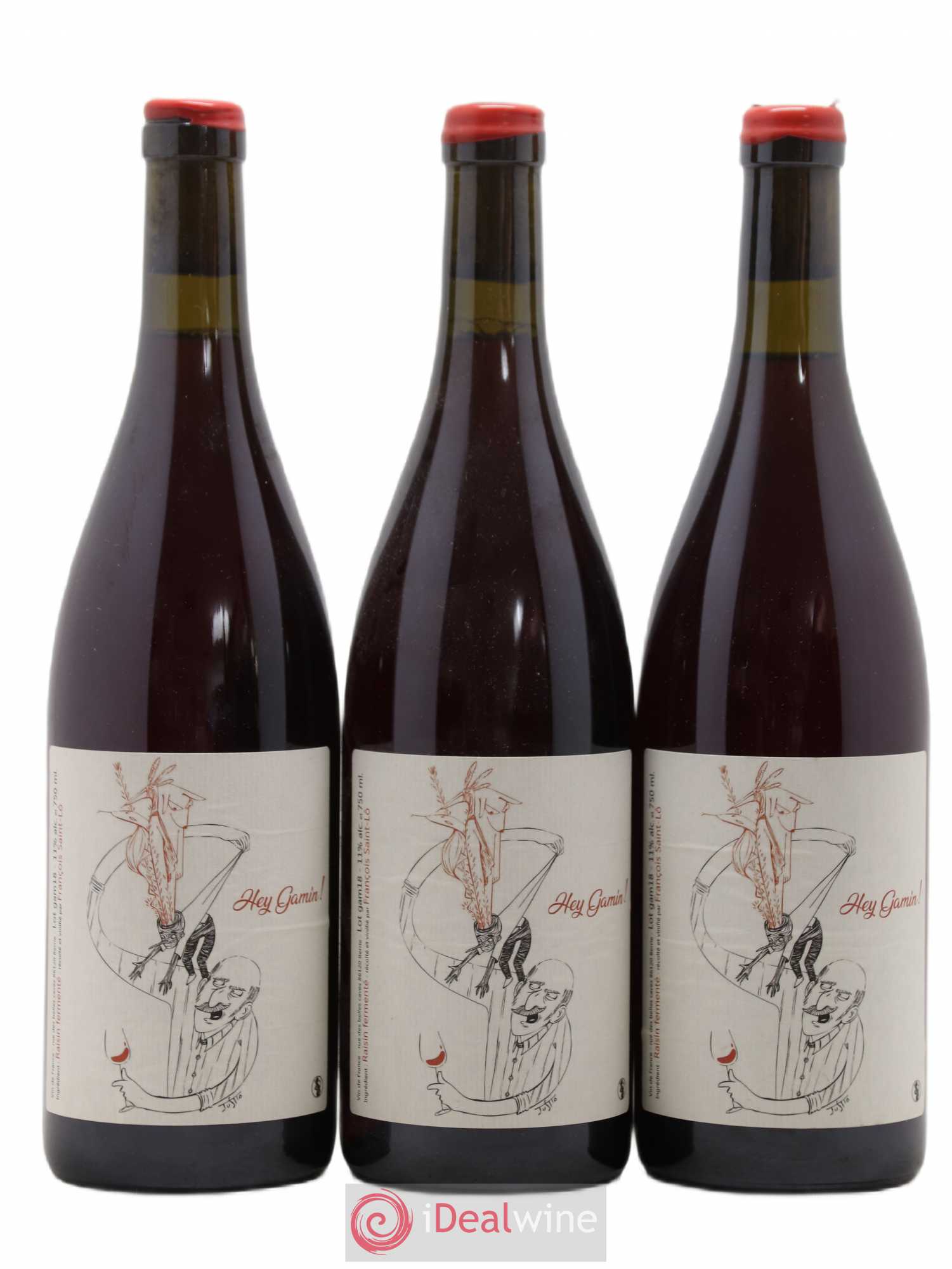 Vin de France Hey Gamin Francois Saint-Lo 2018 - Lot de 3 bouteilles - 0