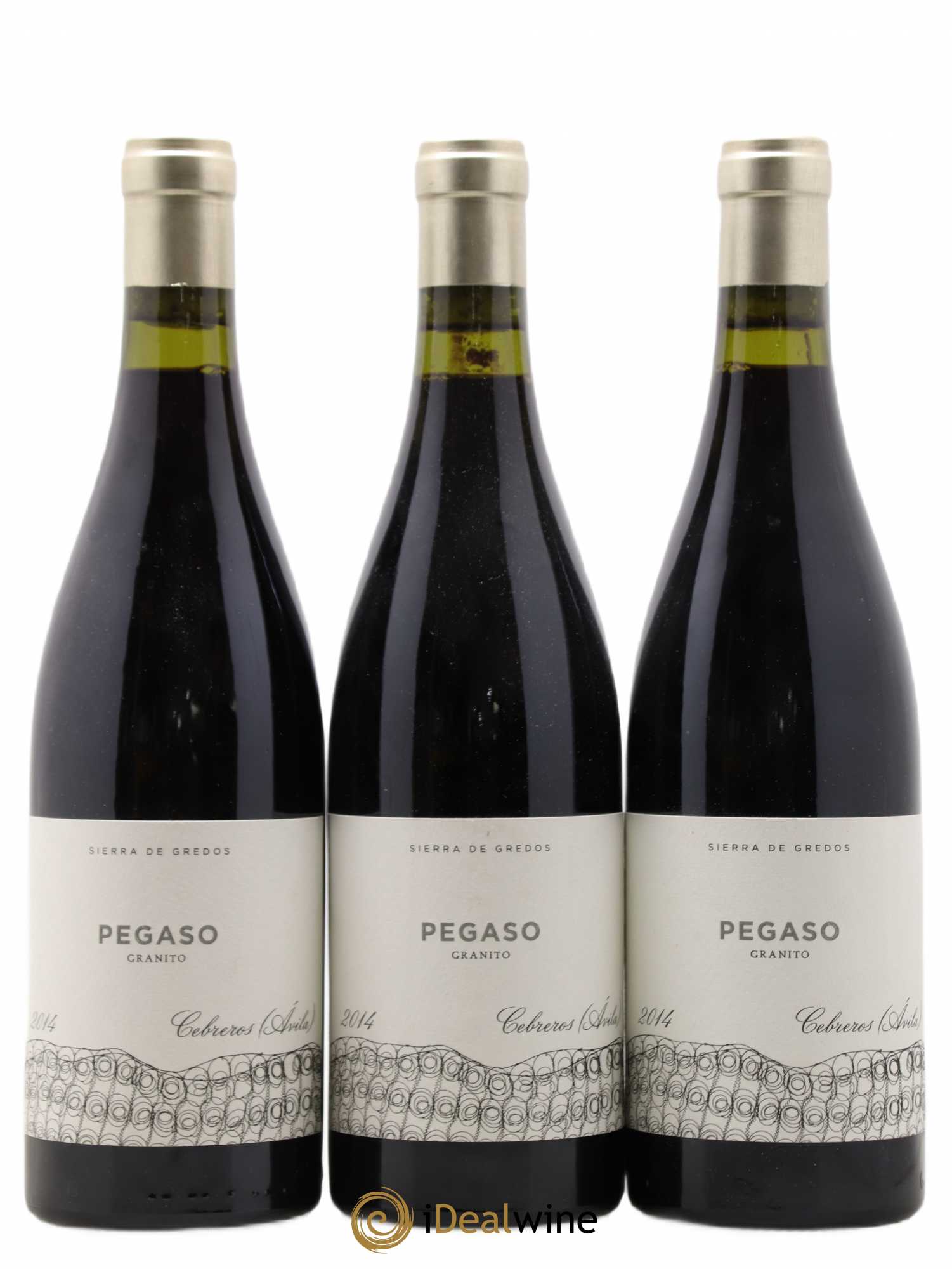 Castilla y Leon Pegaso Granito 2014 - Posten von 3 Flaschen - 0
