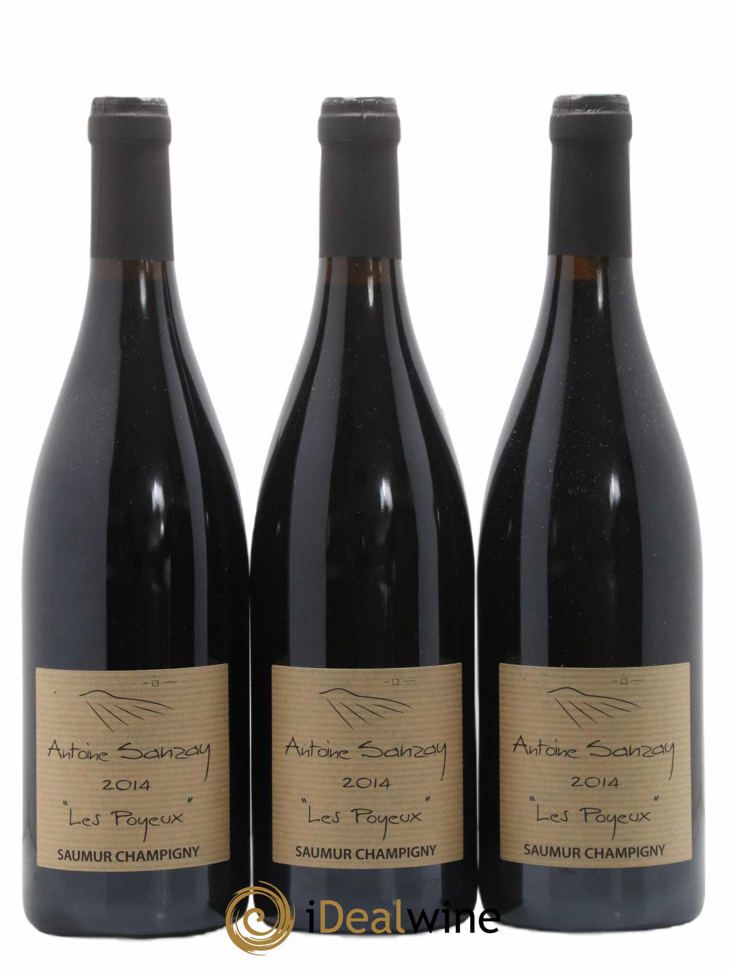 Saumur-Champigny Les Poyeux Antoine Sanzay 2014 - Lot de 3 bouteilles - 0