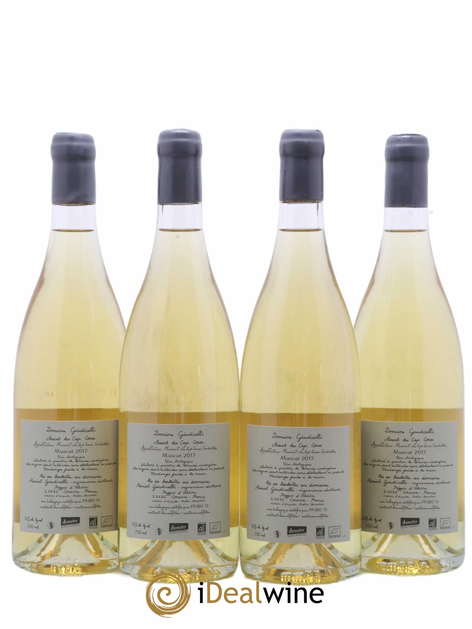 Muscat du Cap Corse N°1 Giudicelli 2017 - Lot of 4 bottles - 1