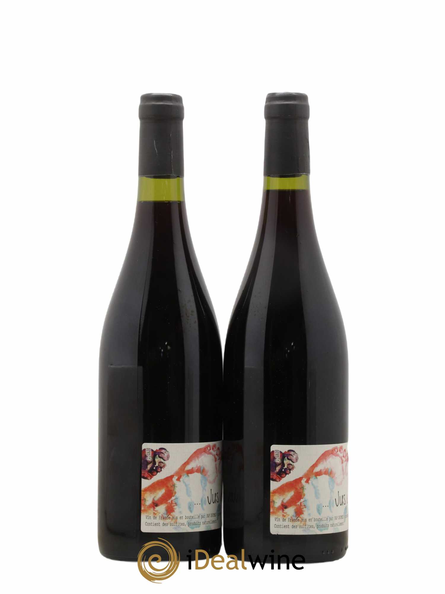 Vin de France Jus de Vilain François Dhumes 2020 - Lot of 2 bottles - 1