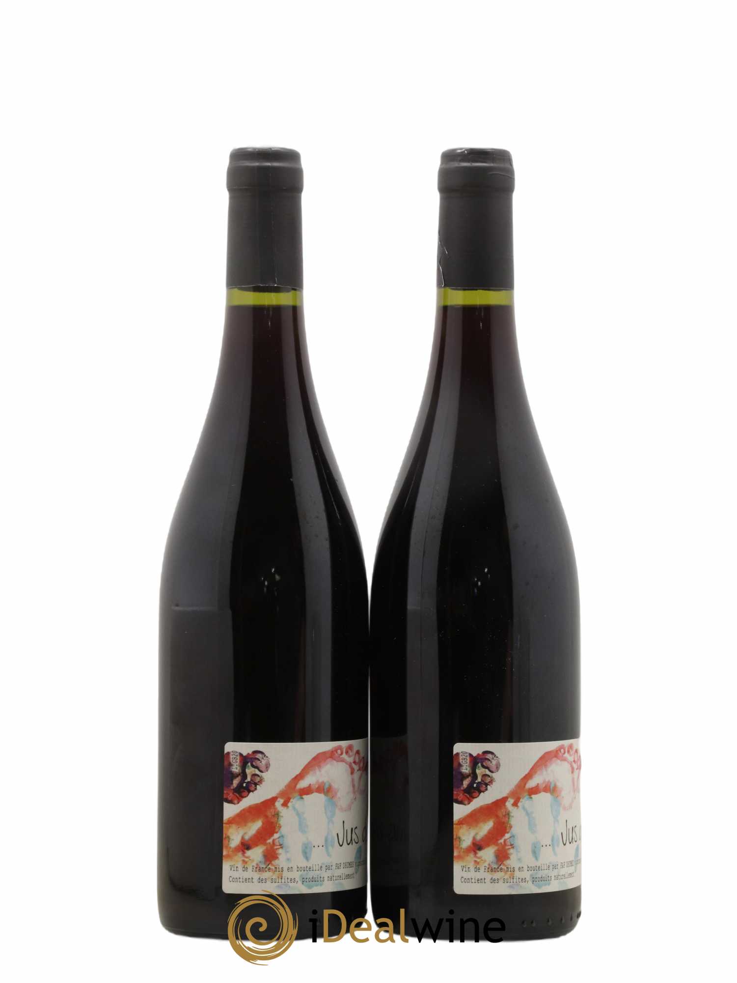 Vin de France Jus de Vilain François Dhumes 2020 - Lot of 2 bottles - 1