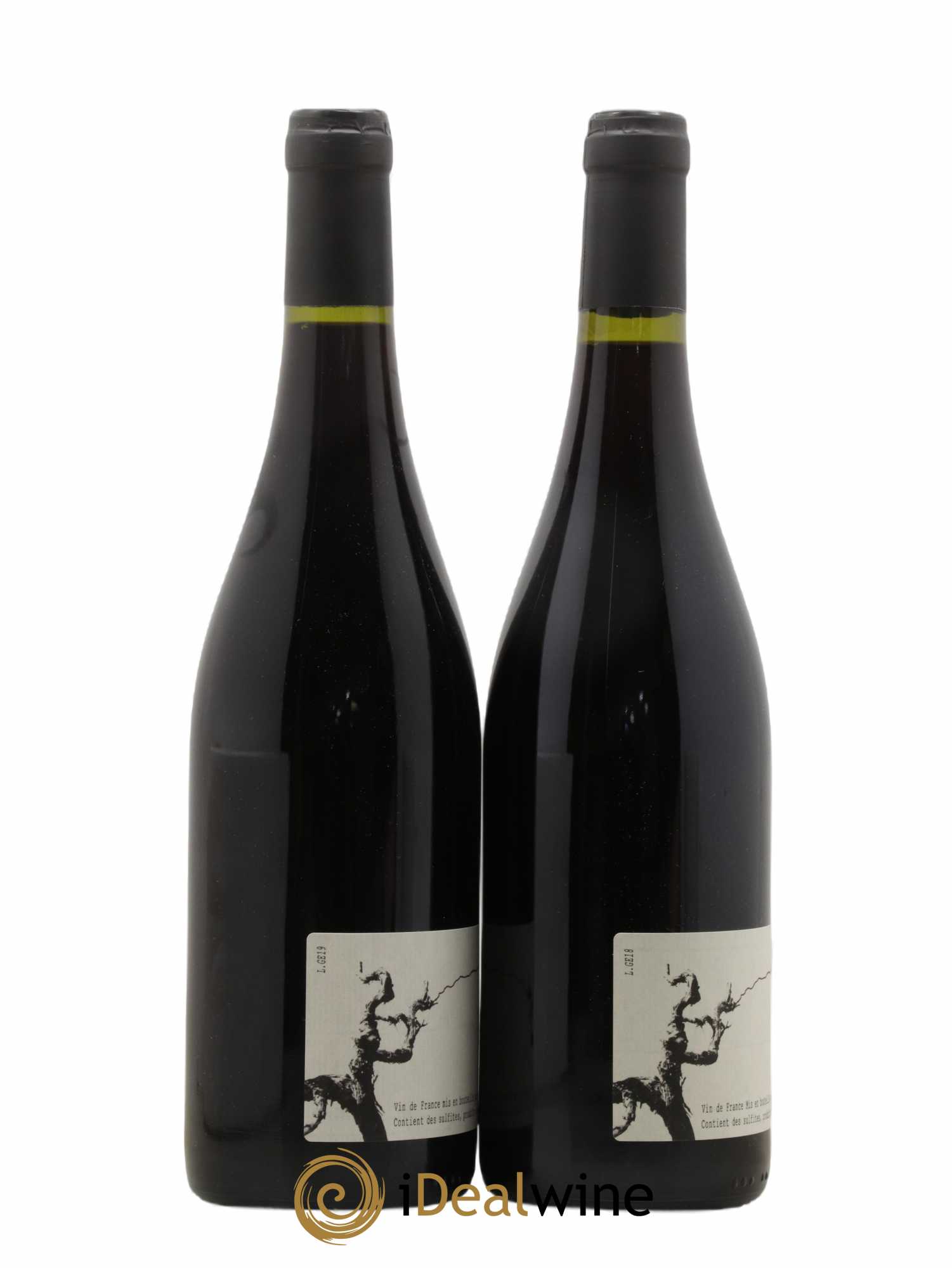 Vin de France Minette François Dhumes 2019 - Lot of 2 bottles - 1