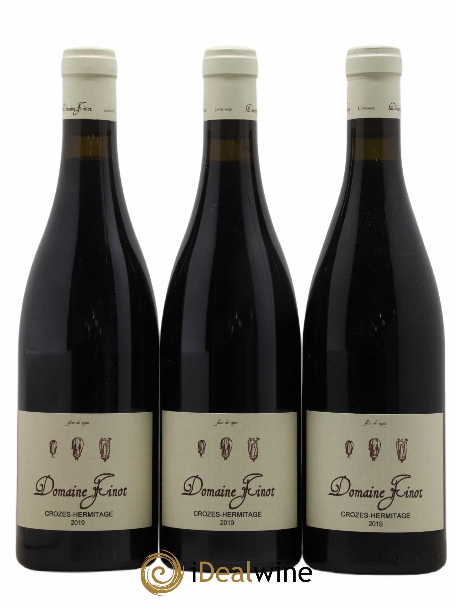 Crozes-Hermitage Finot 2019 - Lot de 3 bouteilles - 0