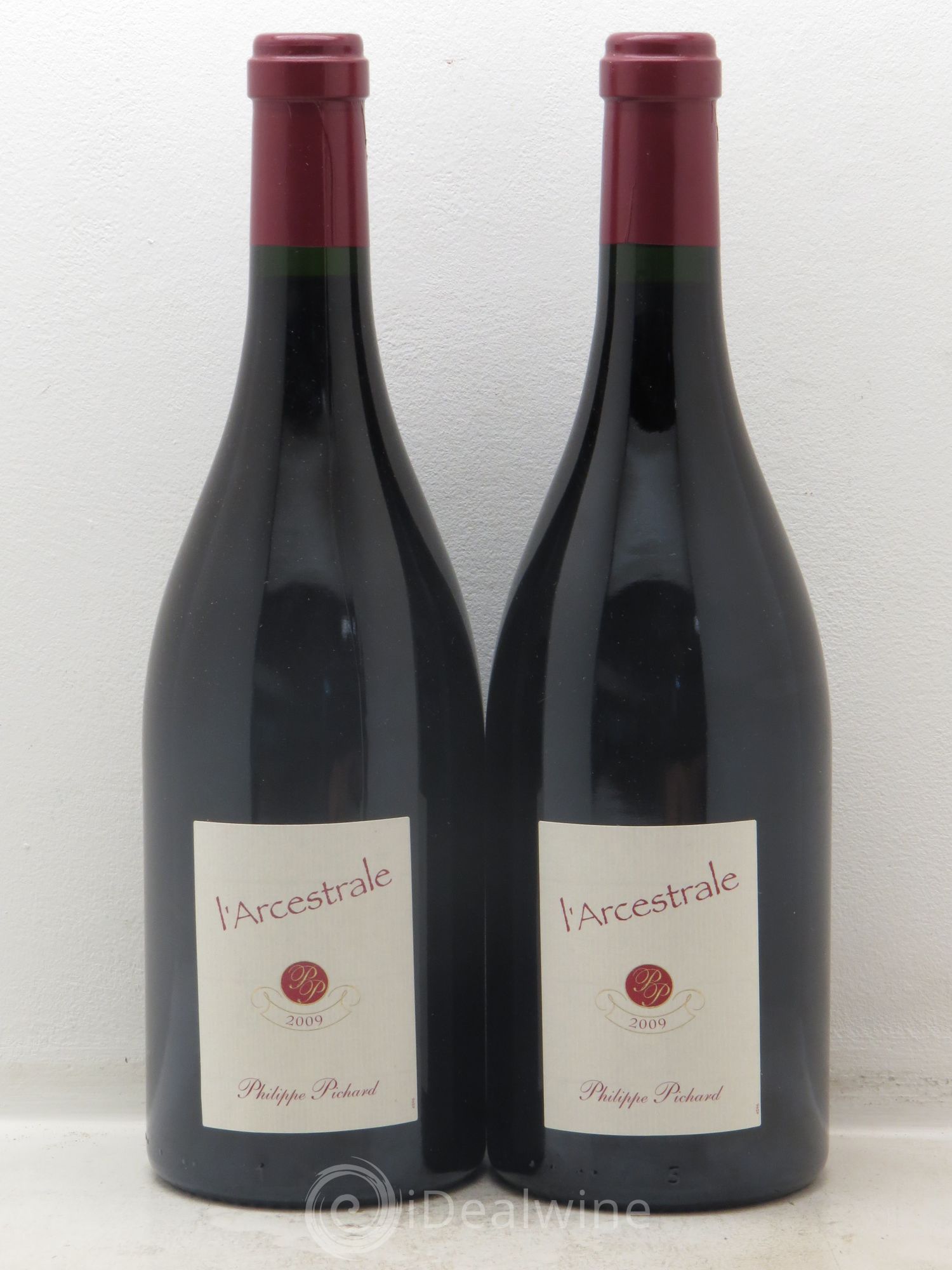 Chinon Domaine de la Chapelle "l'Arcestral" 2009 - Posten von 2 Flaschen - 0