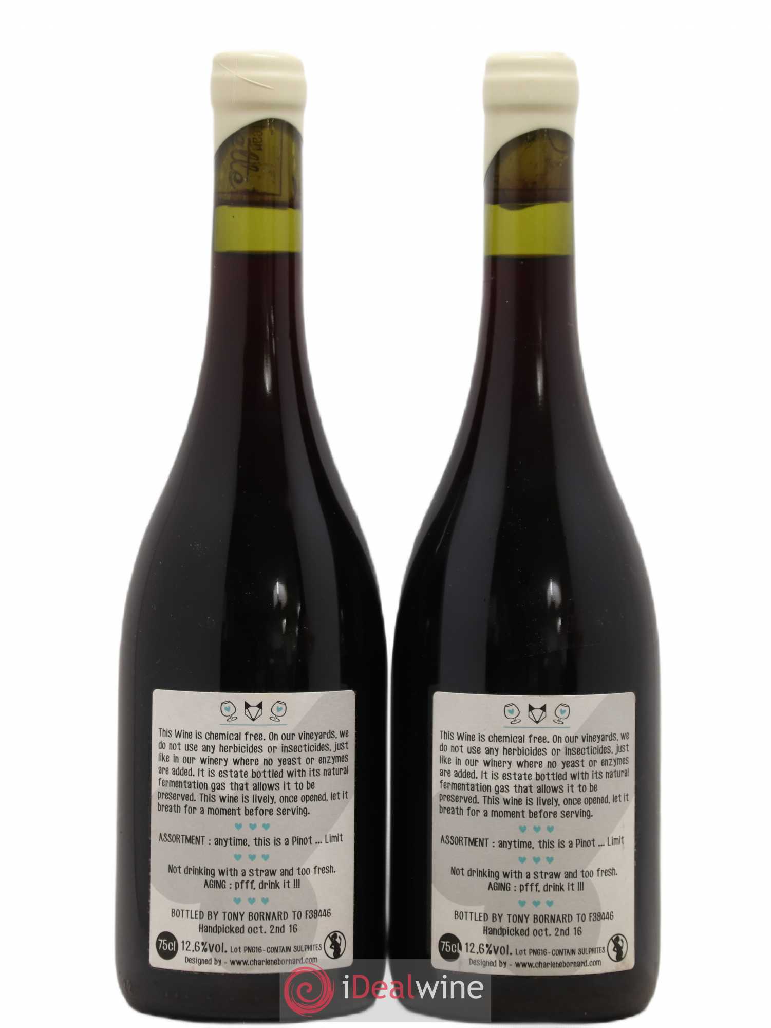 Vin de France Le Pinot Ctambule Tony Bornard 2016 - Posten von 2 Flaschen - 1