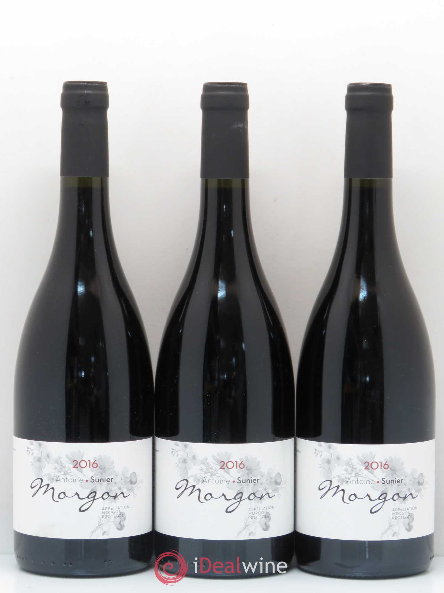 Morgon Antoine Sunier 2016 - Lot de 5 bouteilles - 1