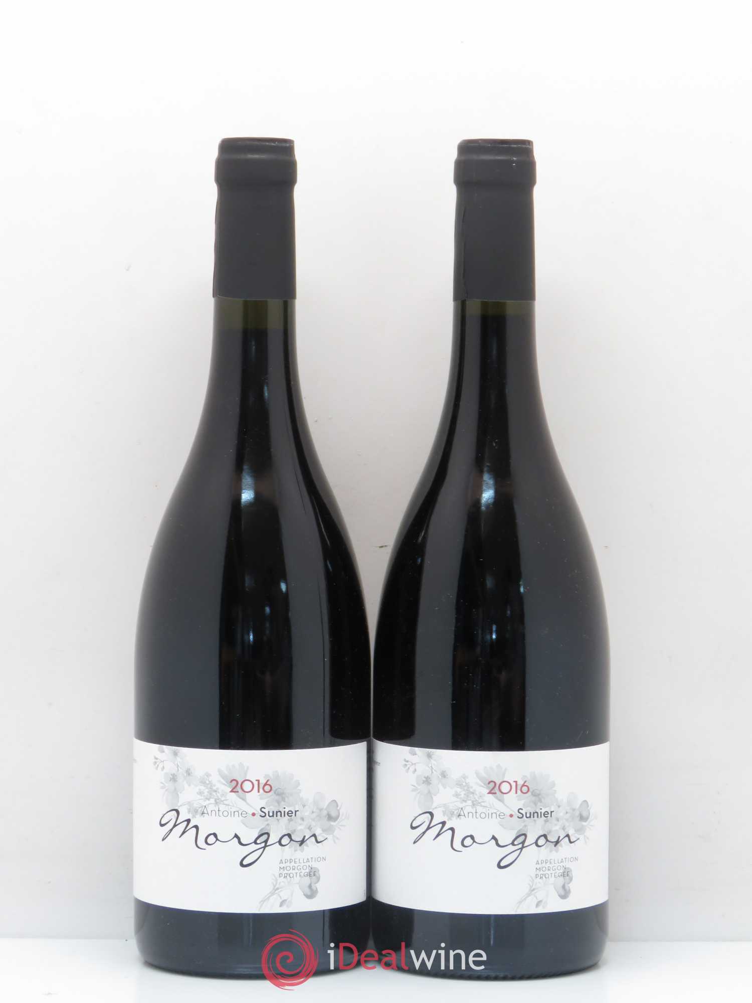 Morgon Antoine Sunier 2016 - Lot de 5 bouteilles - 2