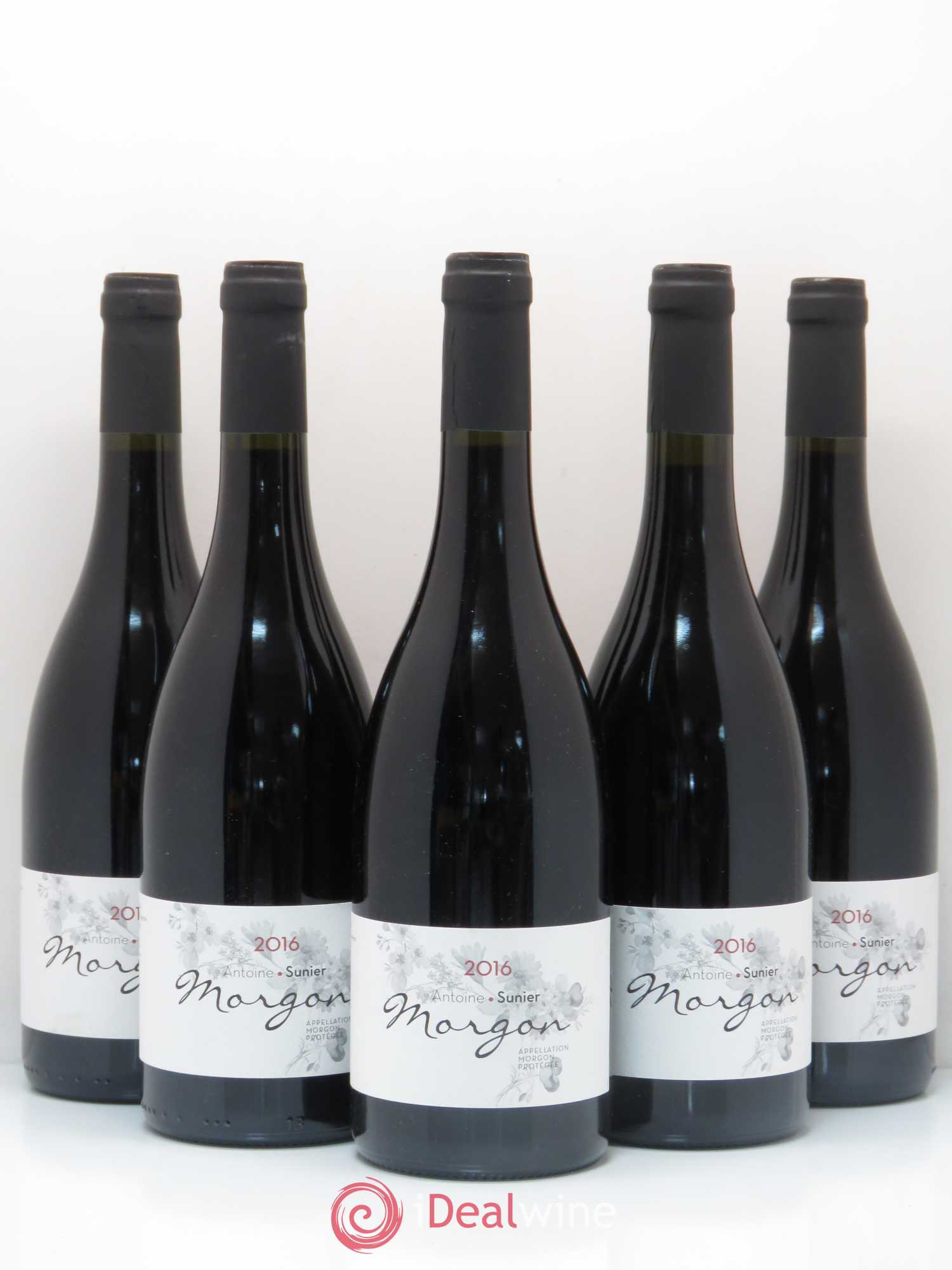Morgon Antoine Sunier 2016 - Lot de 5 bouteilles - 0