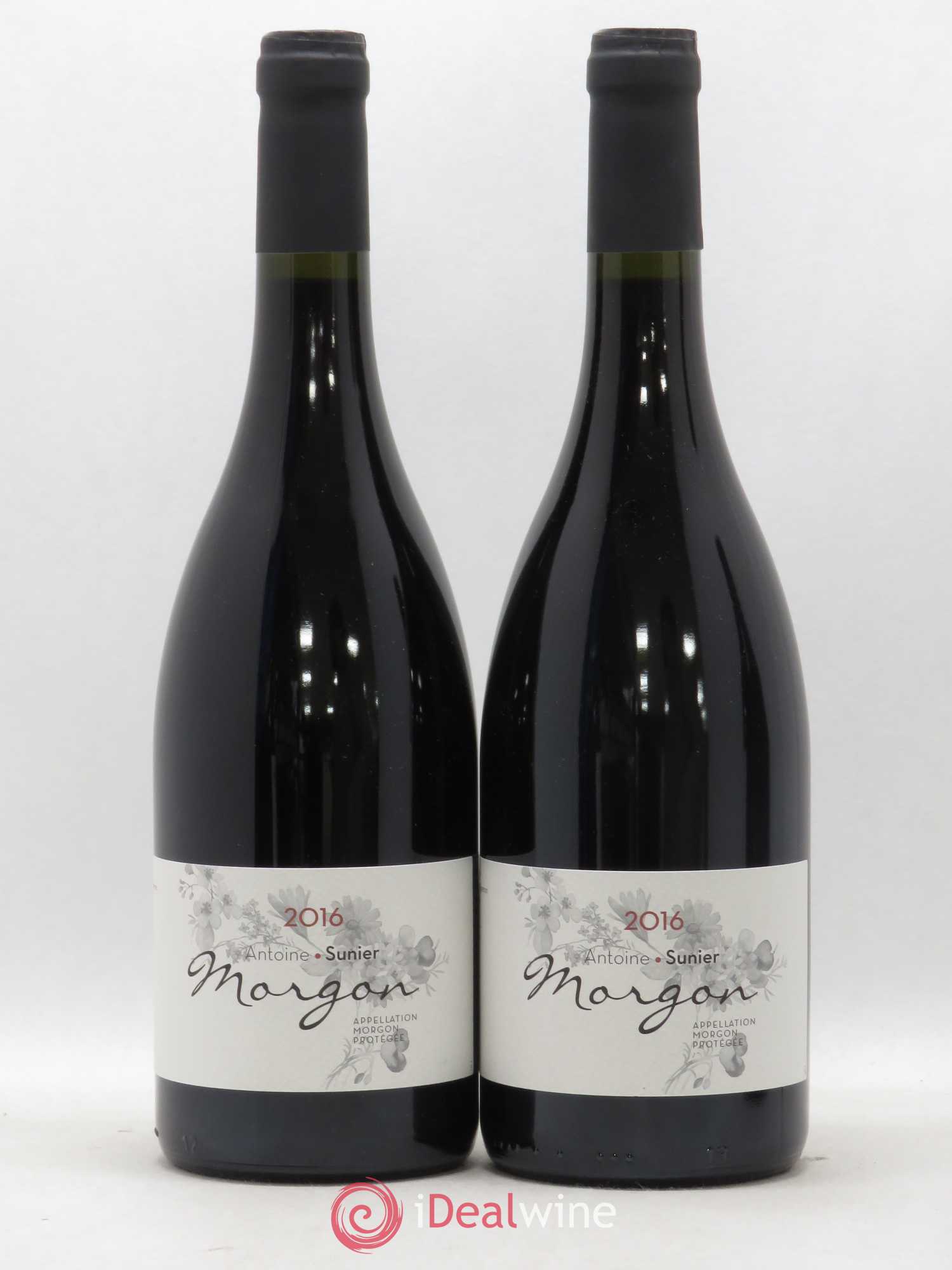 Morgon Domaine Antoine Sunier 2016 - Posten von 2 Flaschen - 0