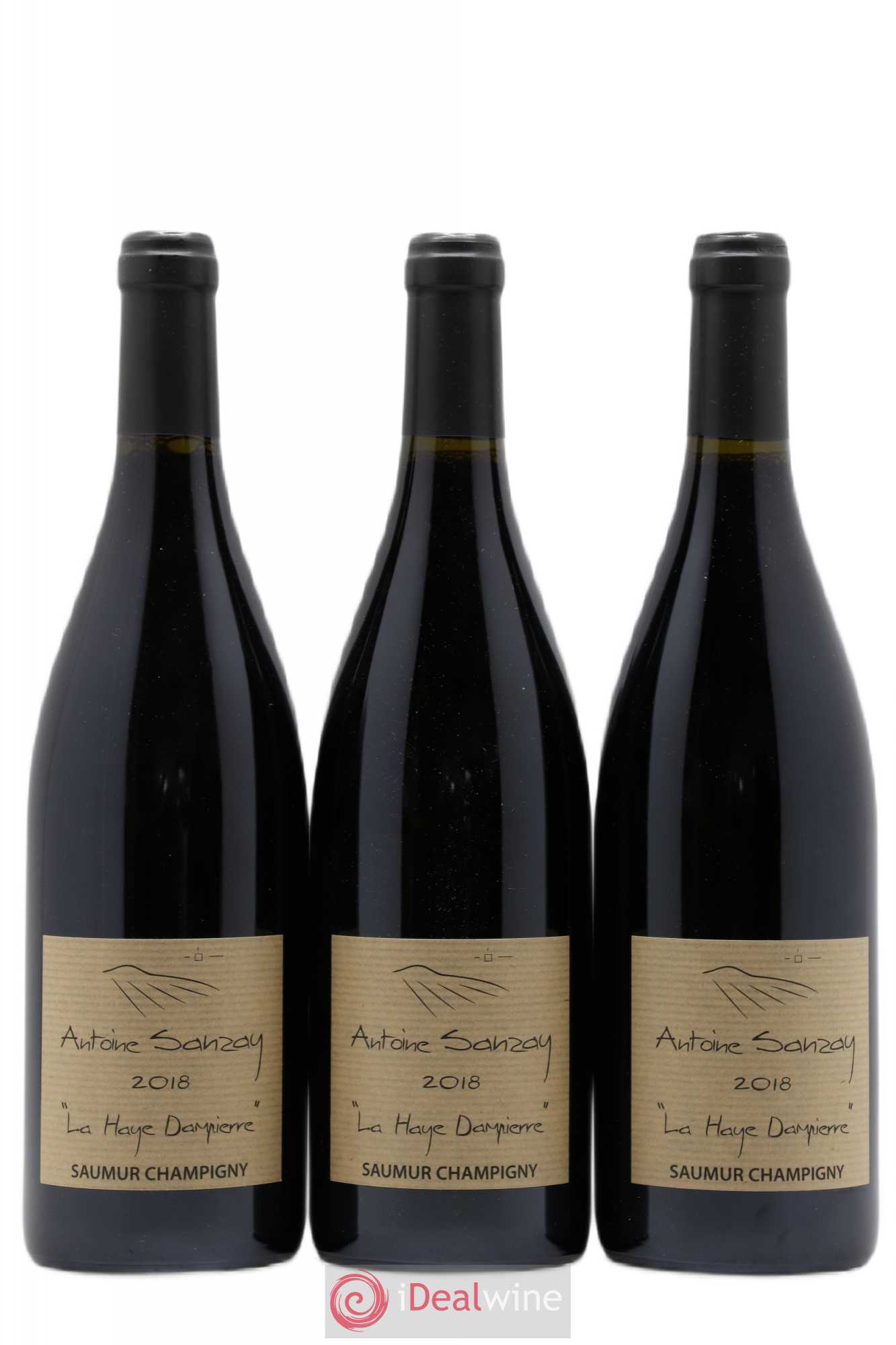 Saumur-Champigny La Haye Dampierre Antoine Sanzay 2018 - Lot de 3 bouteilles - 0