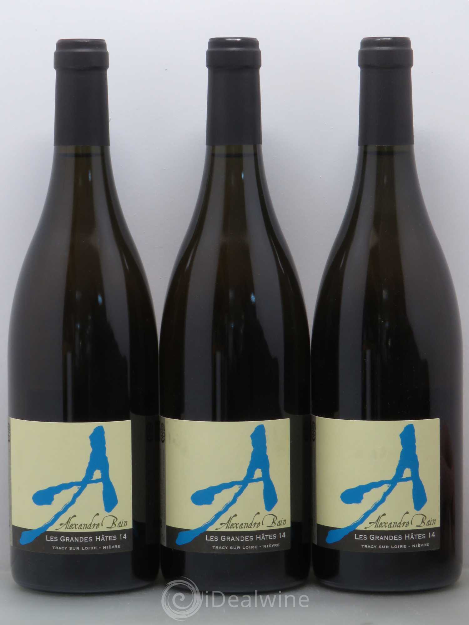 Vin de France Les Grandes Hâtes Alexandre Bain 2014 - Lot de 6 bouteilles - 2