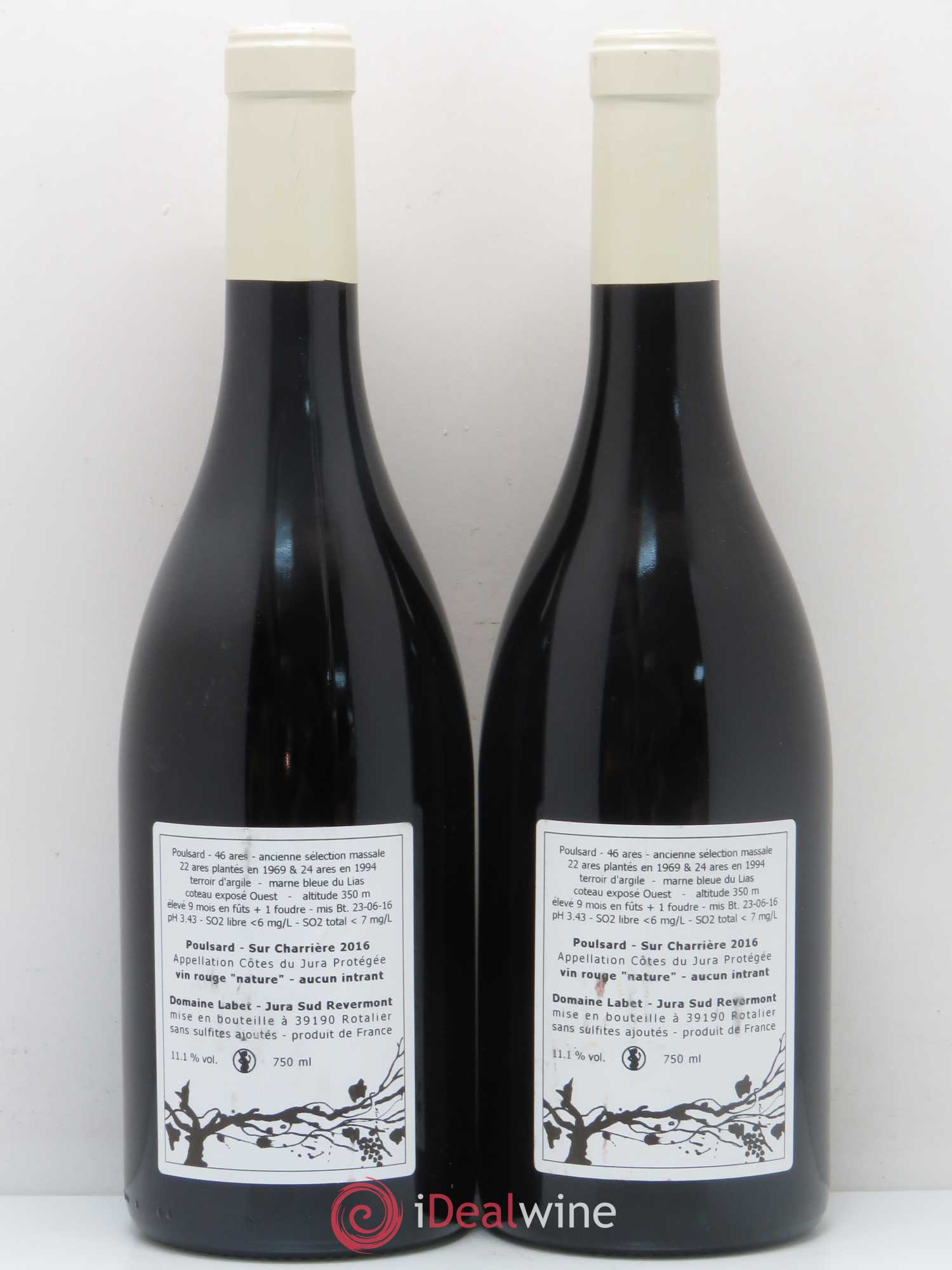 Côtes du Jura Poulsard Sur Charriere Labet 2016 - Posten von 2 Flaschen - 1