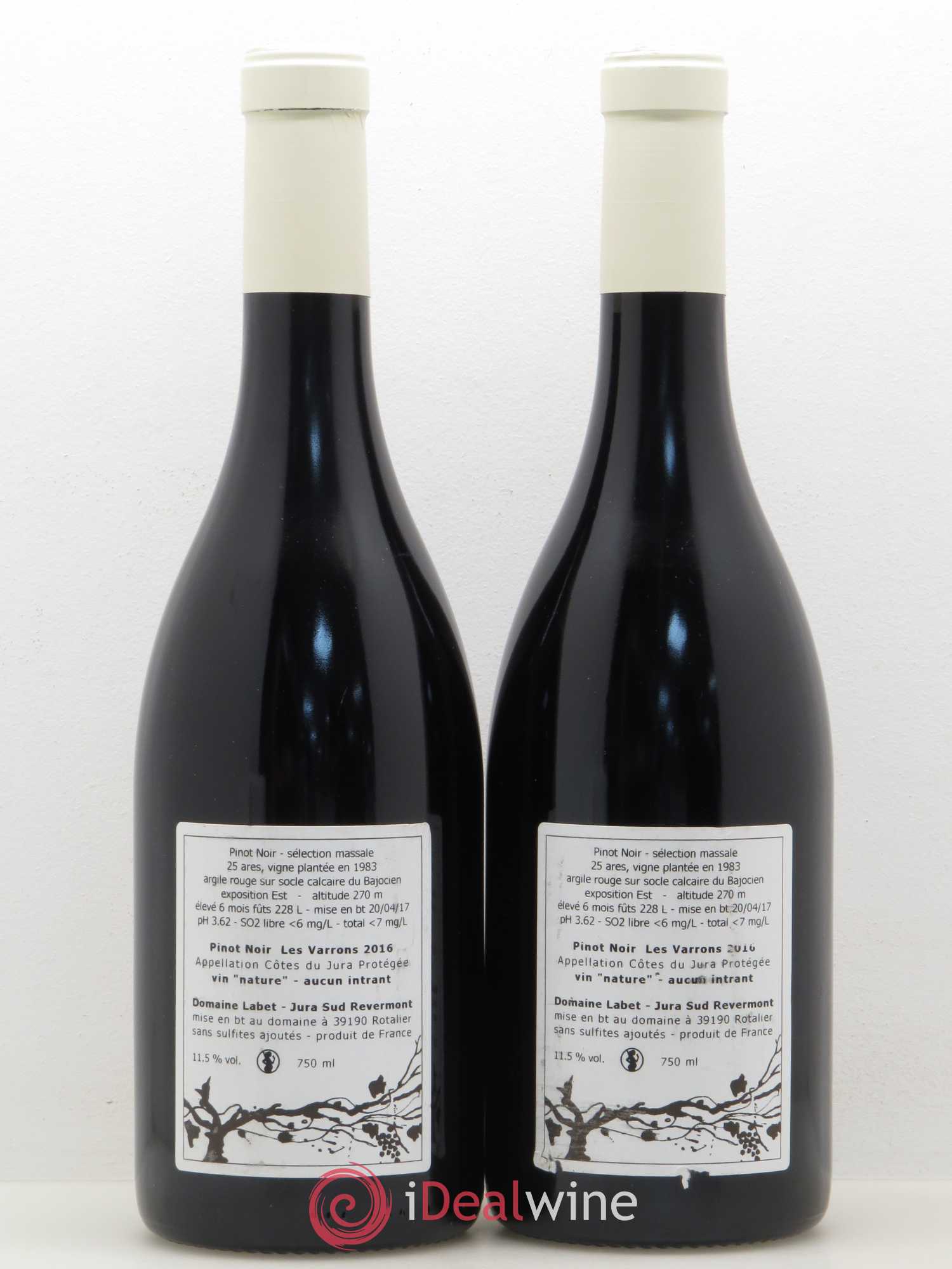 Côtes du Jura Pinot Noir Les Varrons Labet 2016 - Posten von 2 Flaschen - 1