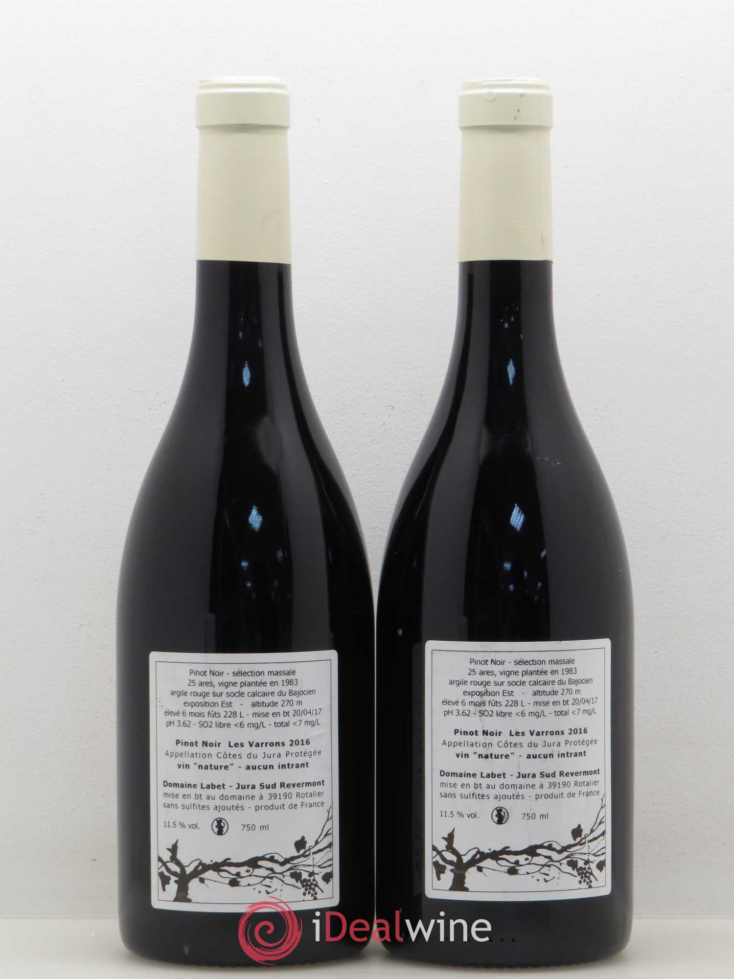Côtes du Jura Varrons Pinot Noir Labet 2016 - Posten von 2 Flaschen - 1