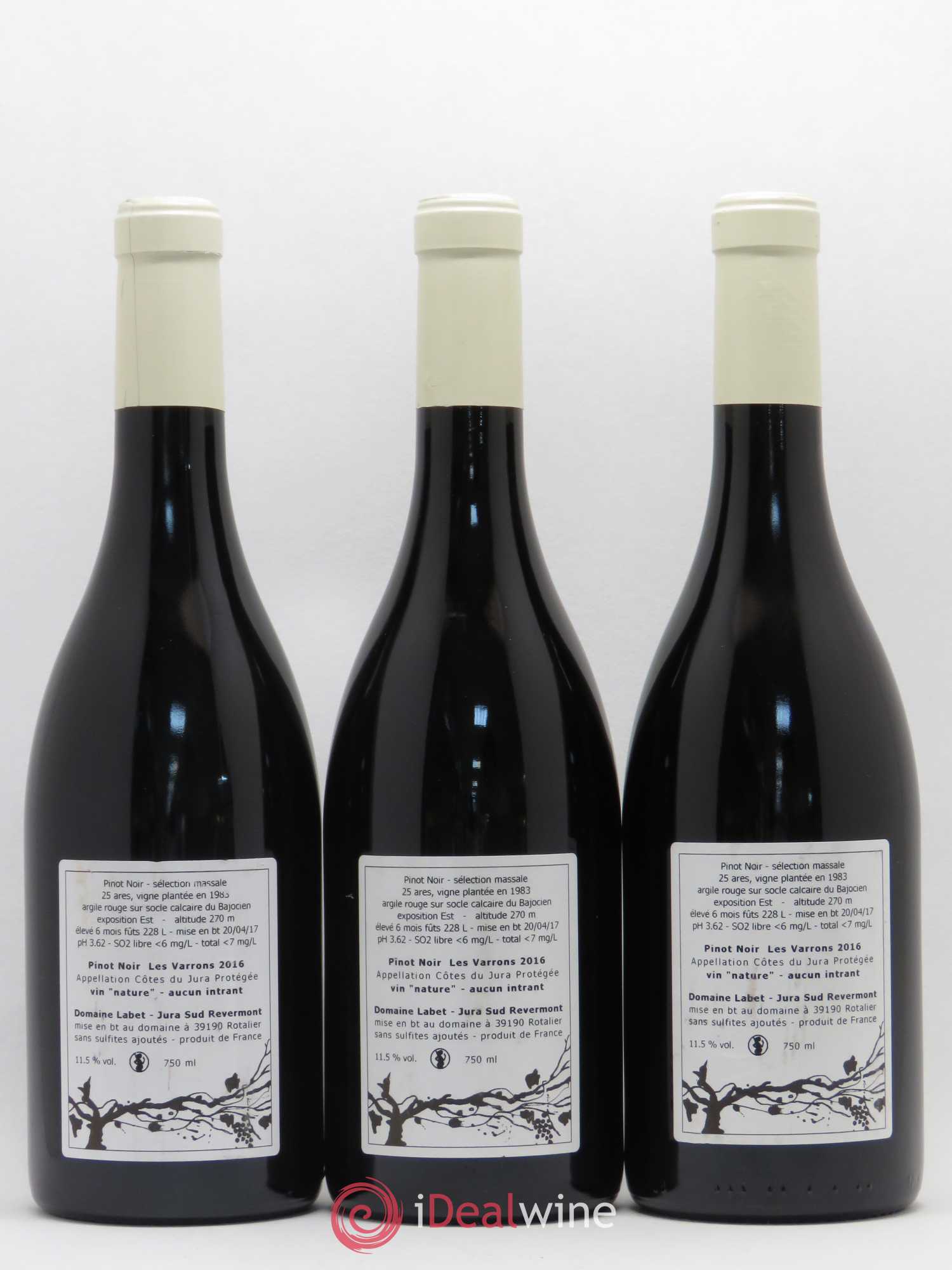 Côtes du Jura Pinot Noir Les Varrons Sélection Massale Romain - Julien - Charline Labet Selections massales 2016 - Lot de 3 bouteilles - 1
