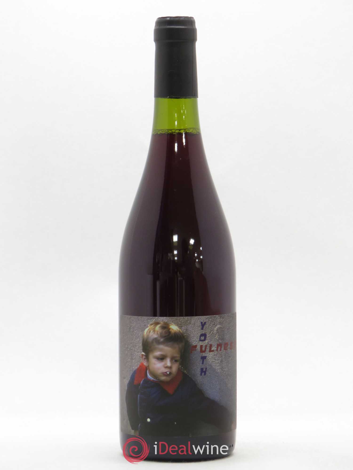 Vin de France Verre de Terre Youthfulness Benoit Rosenberger 2019 - Posten von 1 Flasche - 0