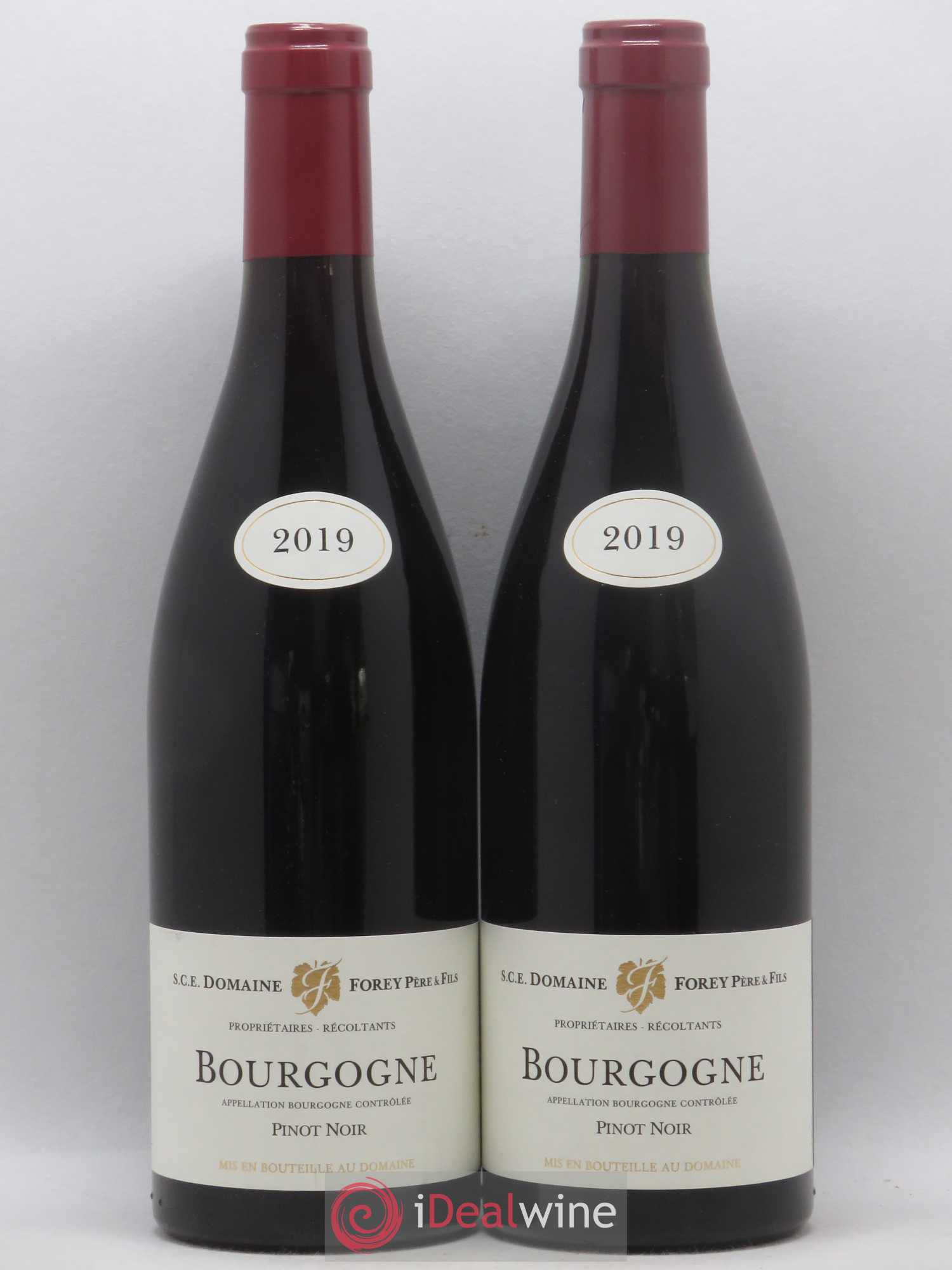 Bourgogne Forey 2019 - Lot de 2 bouteilles - 0