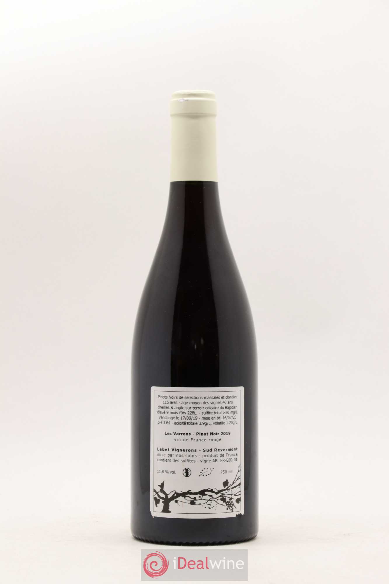 Côtes du Jura Pinot Noir Les Varrons Sélection Massale Romain - Julien  - Charline Labet 2019 - Lot de 1 bouteille - 1
