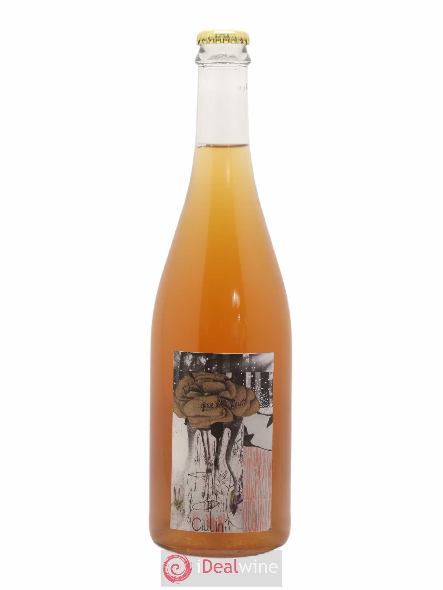Vin de France L'absurde génie des fleurs Ciulin 2019 - Posten von 1 Flasche - 0