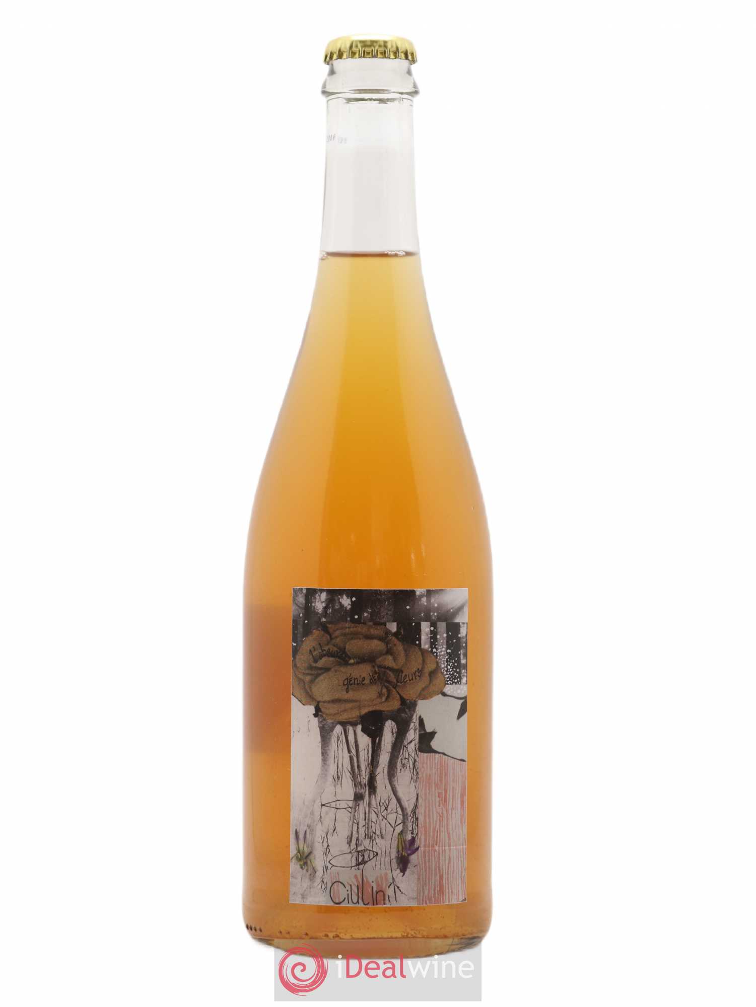 Vin de France Ciulin L'Absurde Génie des Fleurs 2019 - Posten von 1 Flasche - 0