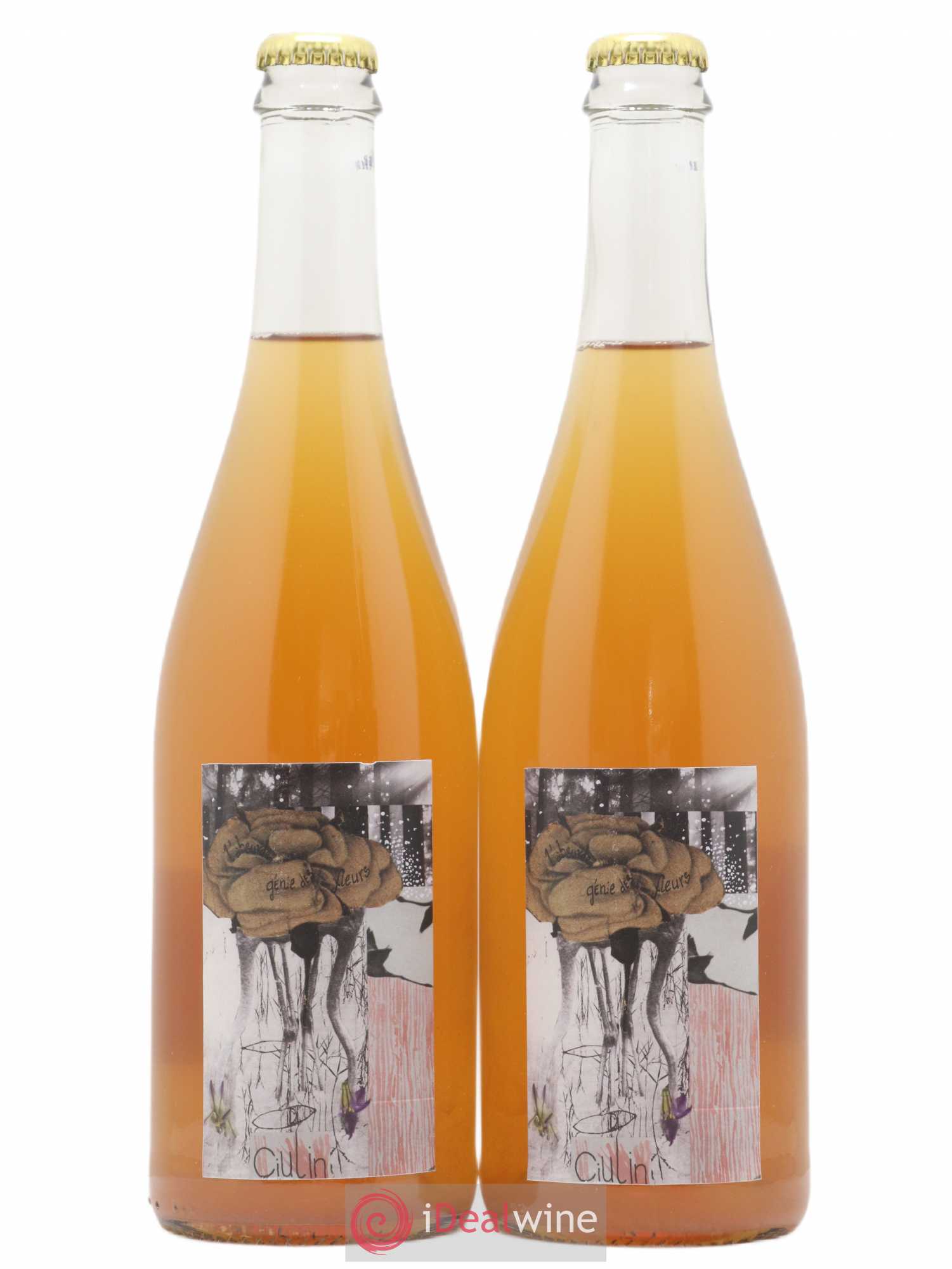 Vin de France Ciulin L'absurde Génie des Fleurs 2020 - Posten von 2 Flaschen - 0