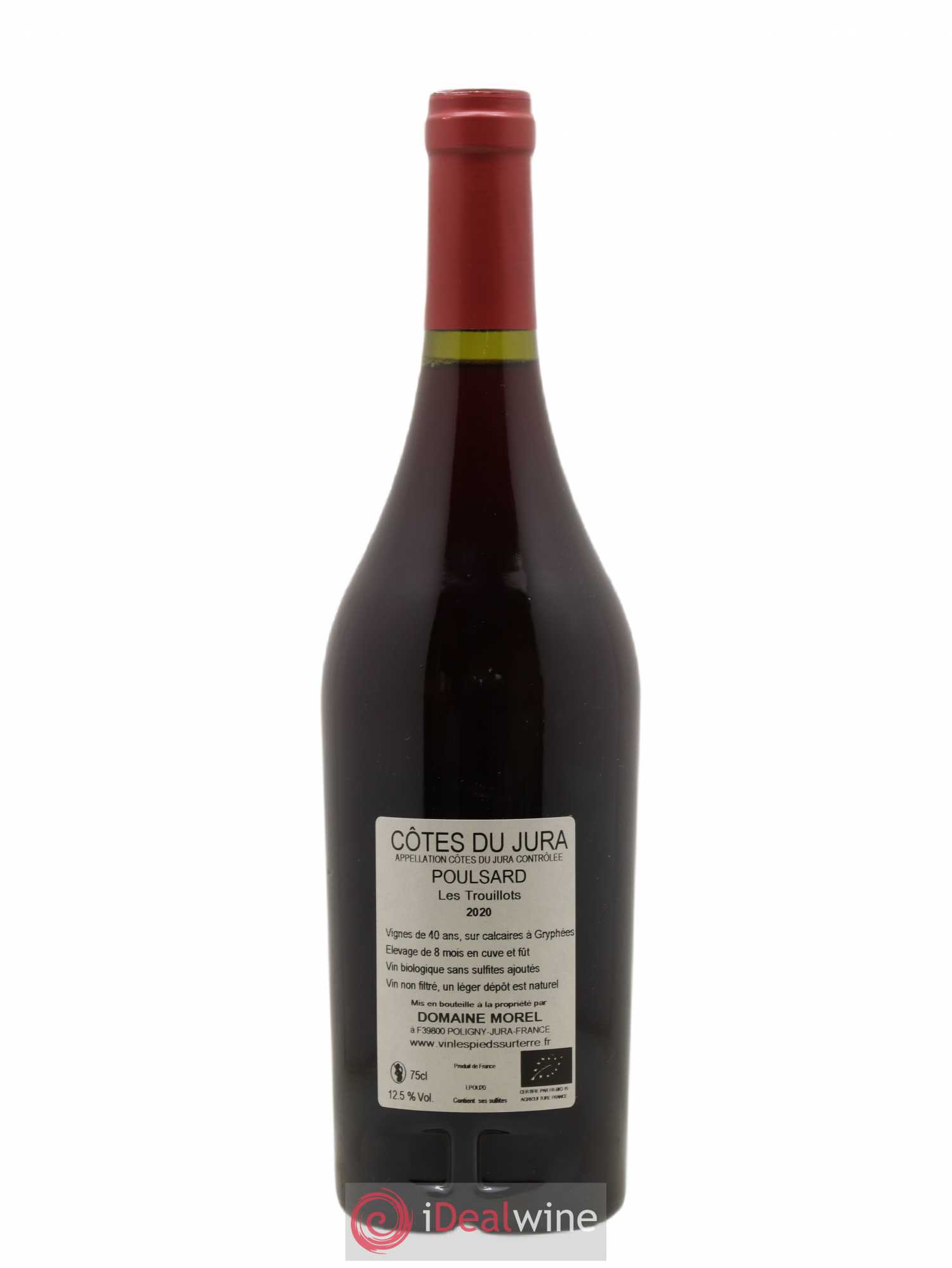 Côtes du Jura Poulsard Trouillots Valentin Morel Les Pieds sur Terre 2020 - Posten von 1 Flasche - 1